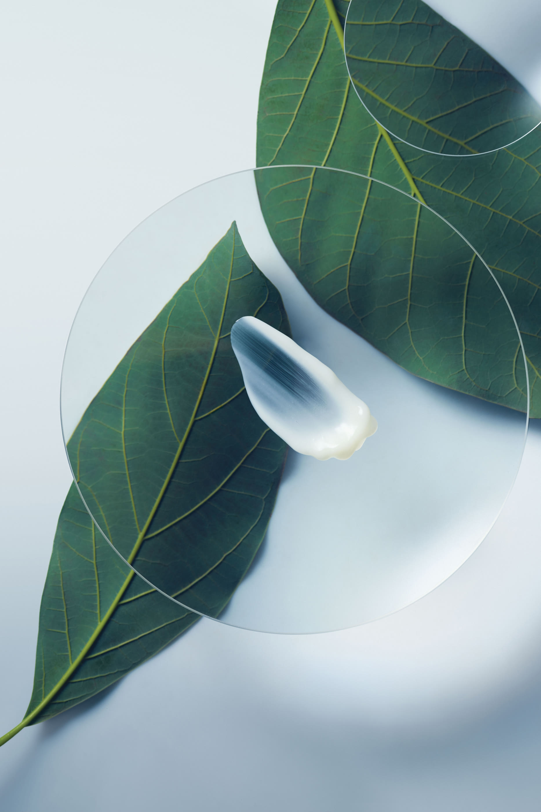 مستحضر علاجي بوتانيكال ريبير يترك على الشعر لتقويته