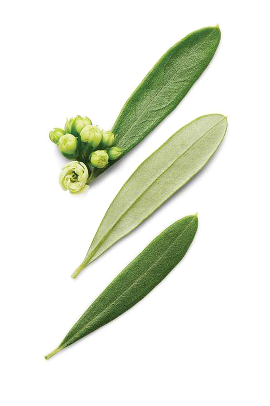 ماء تواليت كود