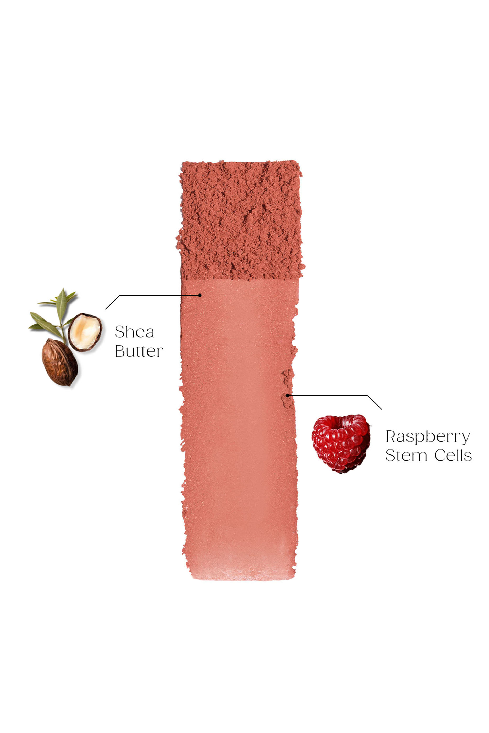 أحمر خدود بودرة سيلكي بلورينغ كشمير توتش