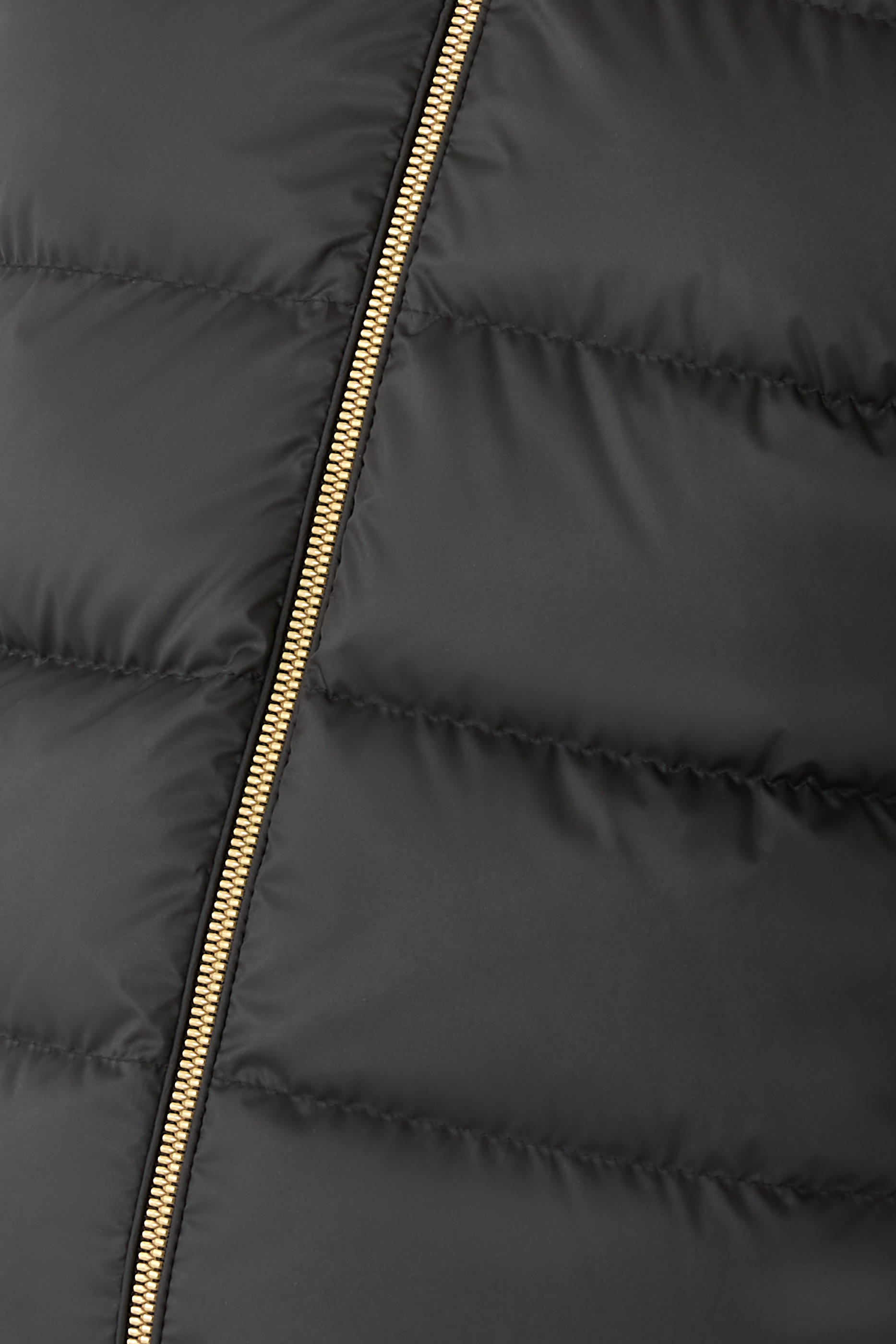 جاكيت موفيزين