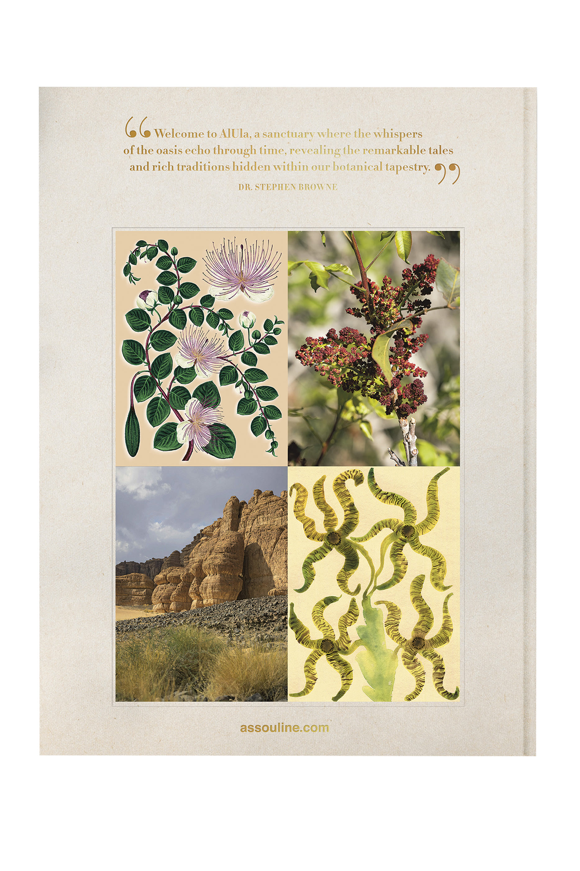 كتاب ألولا فلورا