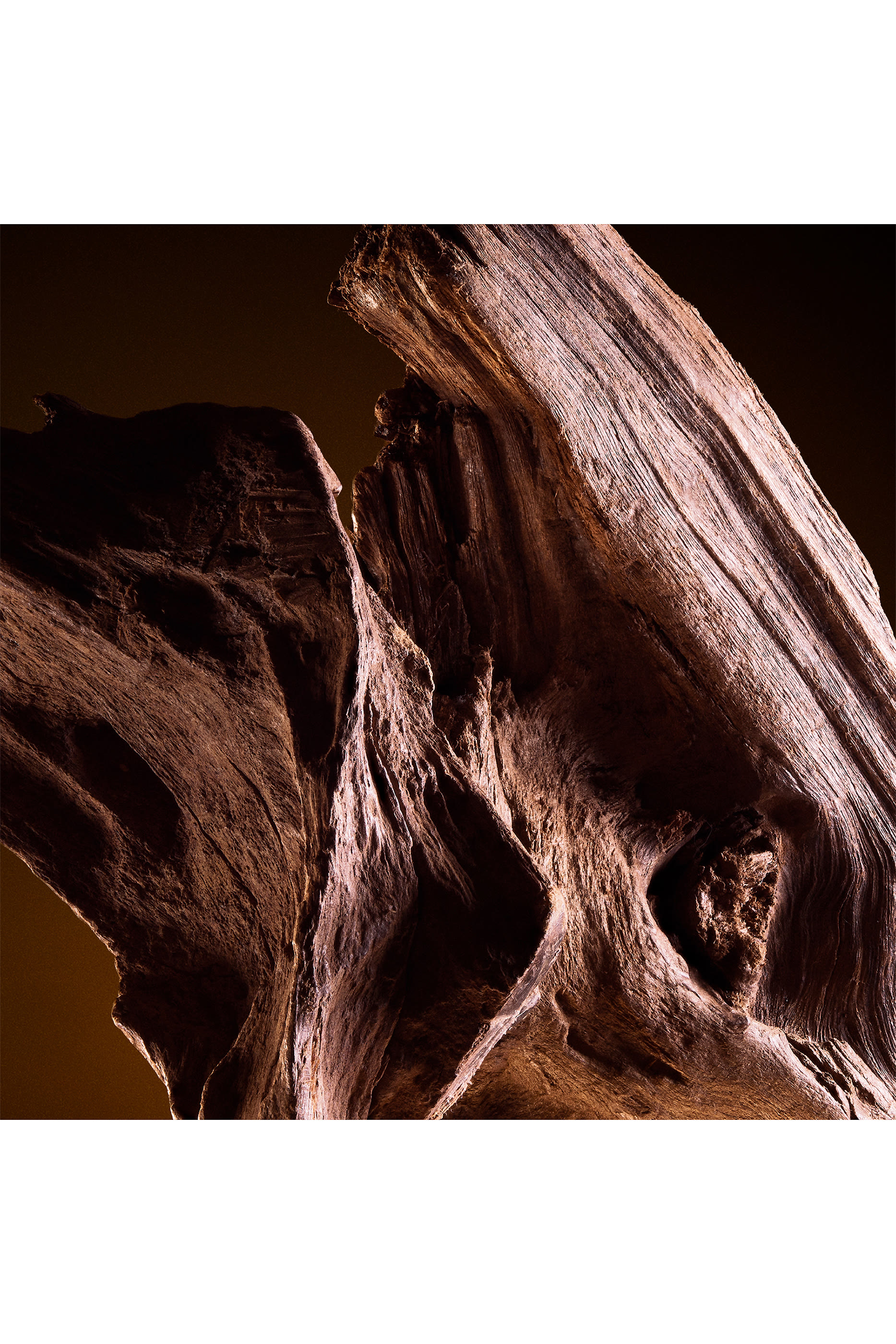 أو دو تواليت ذا وان للرجال