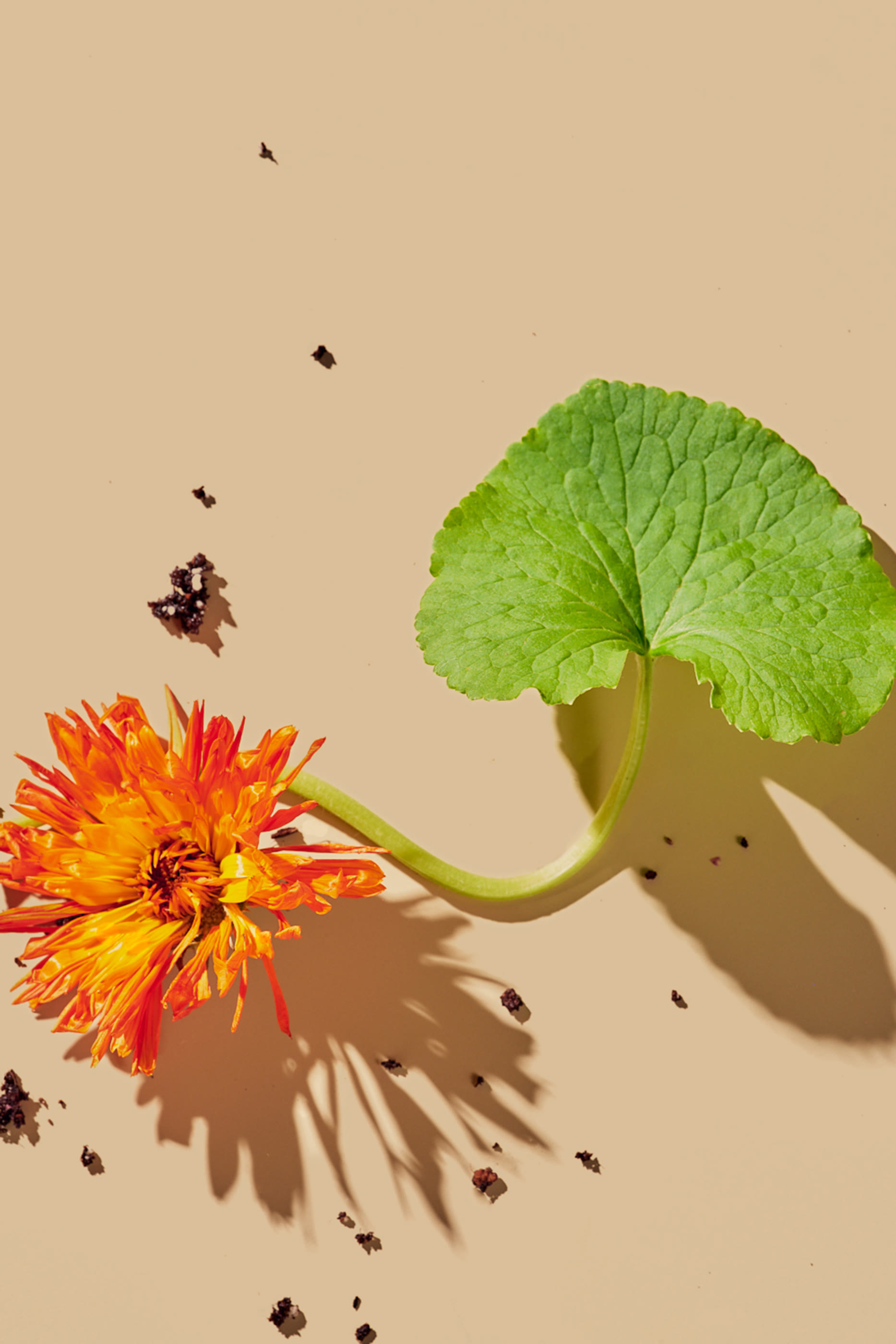 غسول سوبركايند مقشر للبشرة