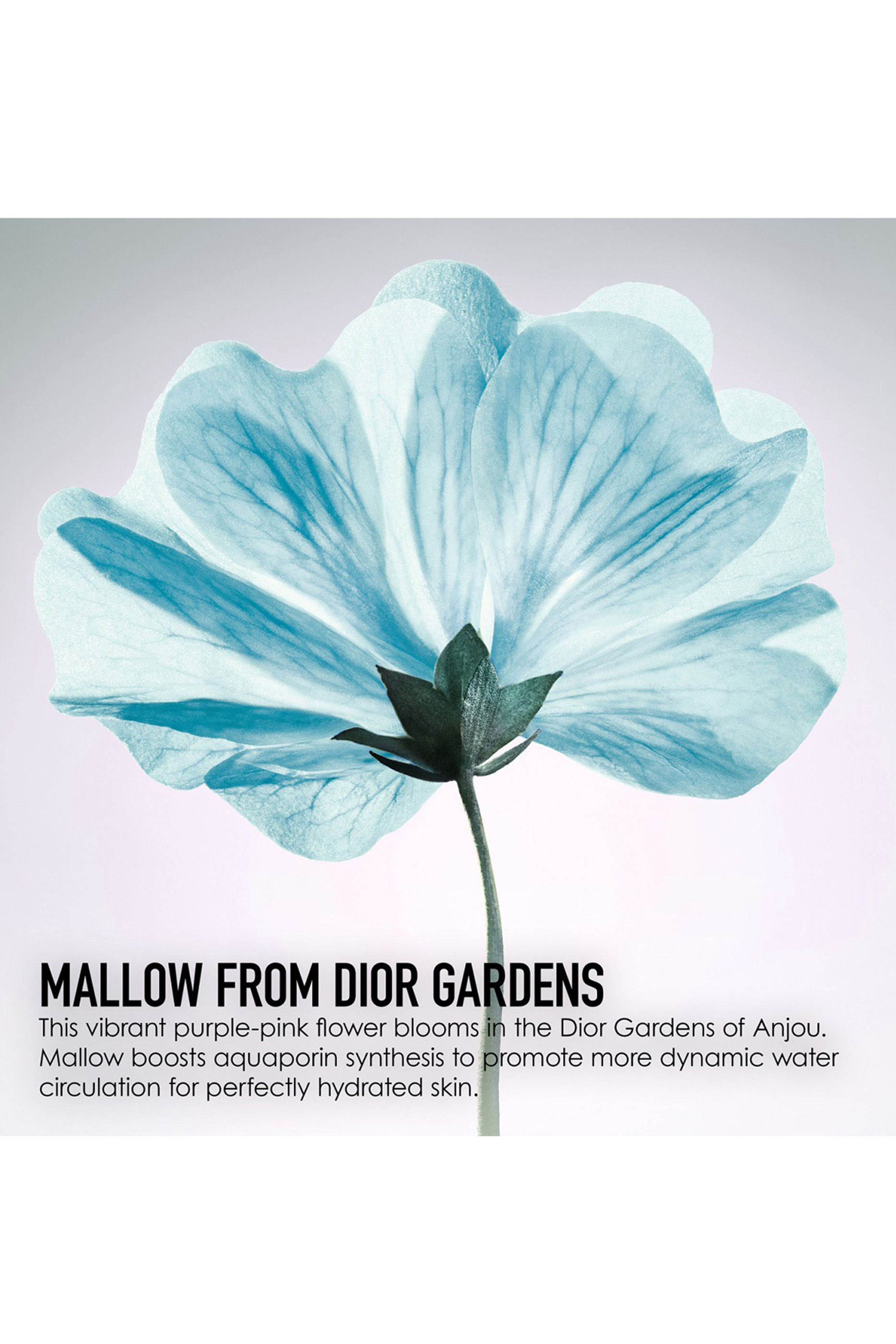 مستحضر ديور هيدرا لايف لموازنة ترطيب البشرة - 2 في 1 سوربيه ووتر