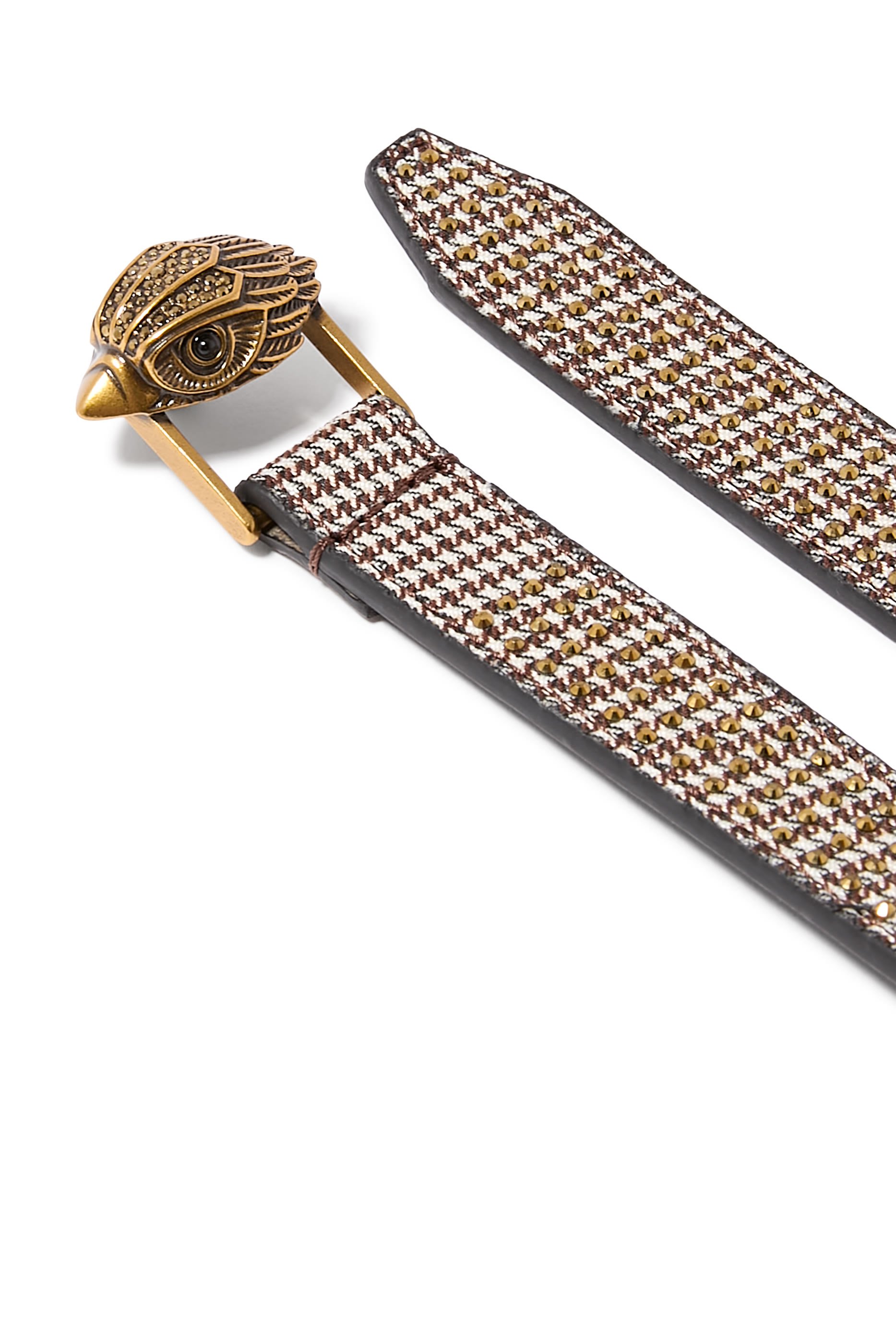 حزام بشعار النسر