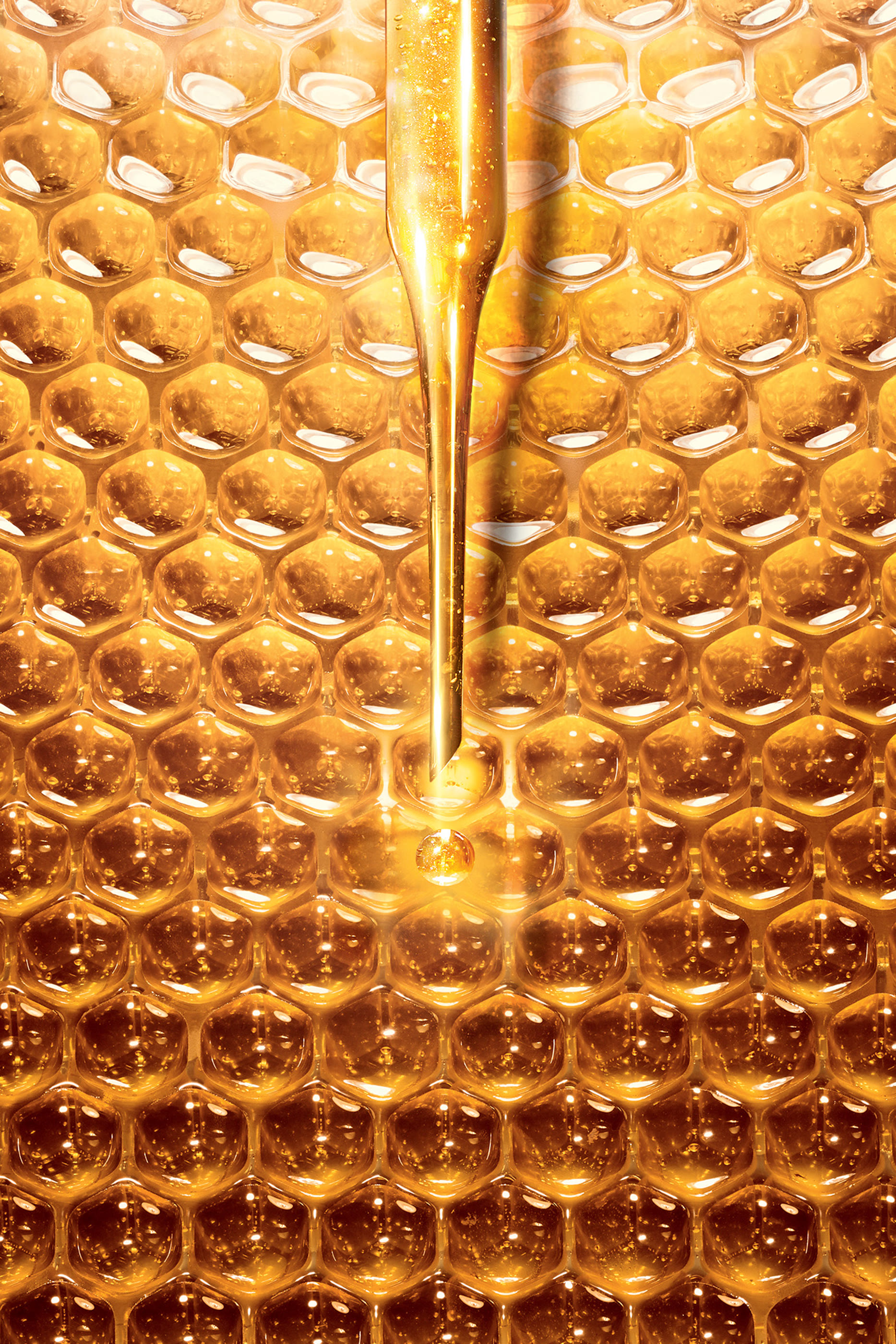 كريم النهار الغني أباي رويال