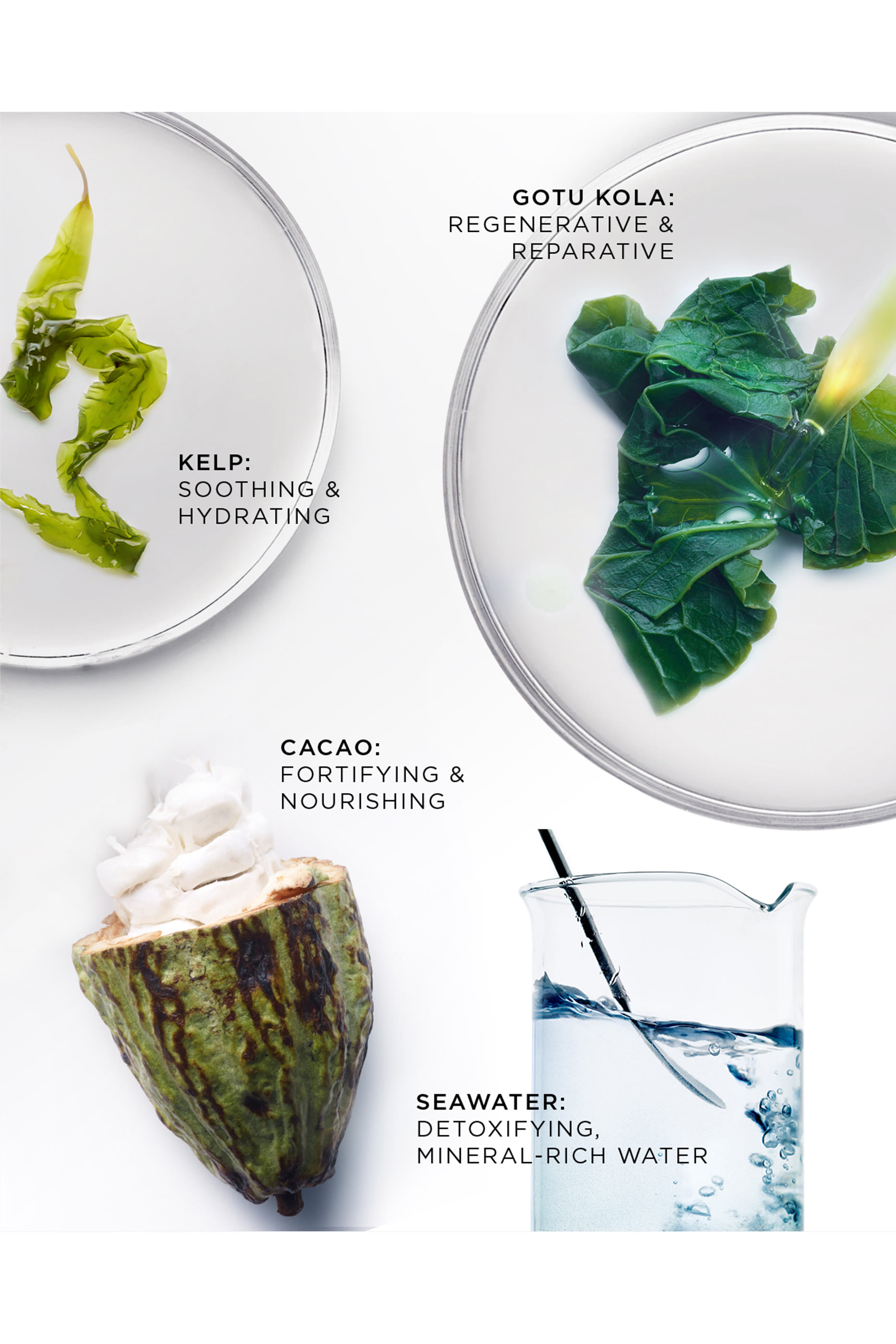 كريم ليلي بريليانت قابل لإعادة الملء