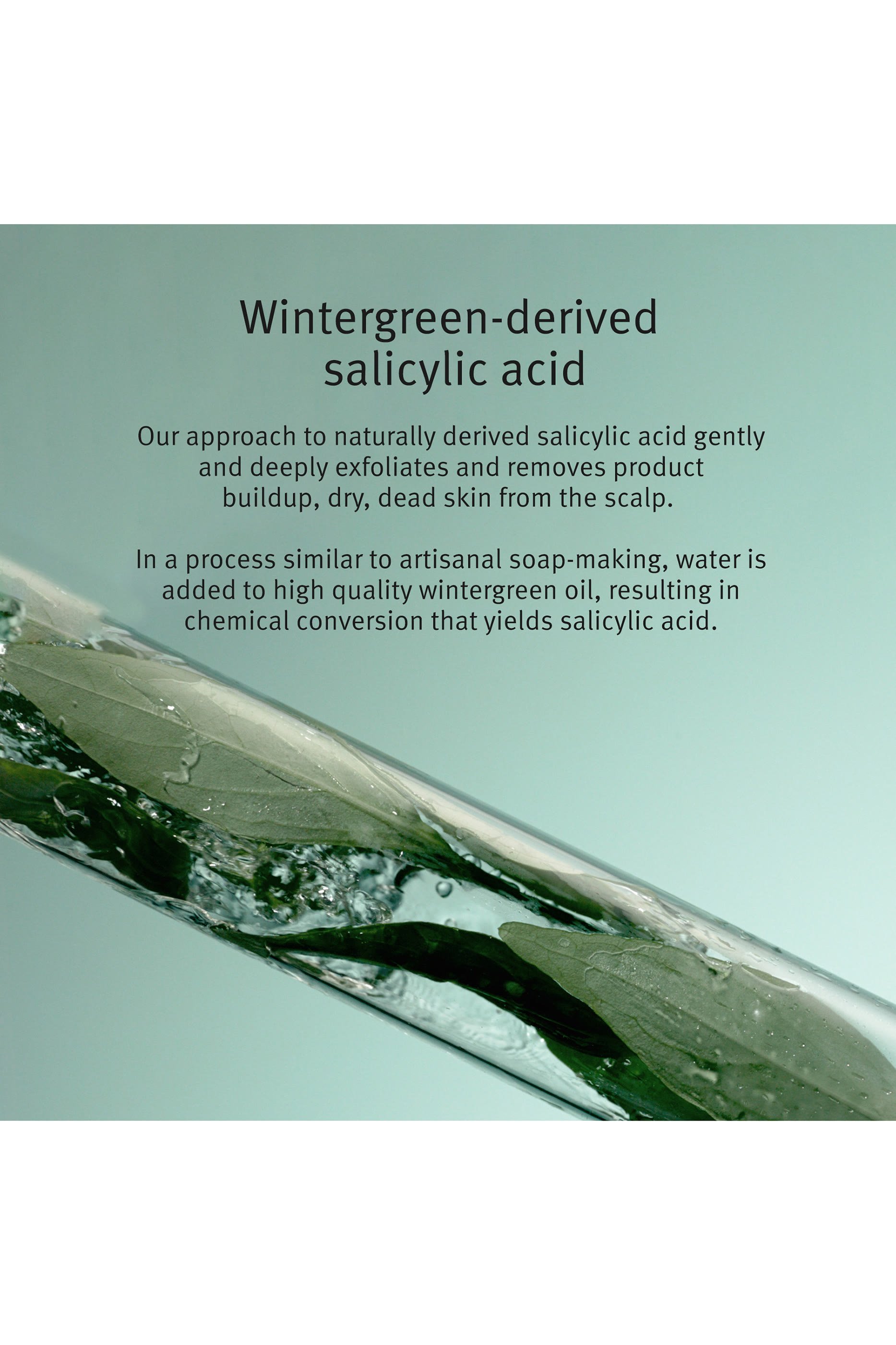 مستحضر علاجي سكالب سولوشنز لتقشير فروة الرأس