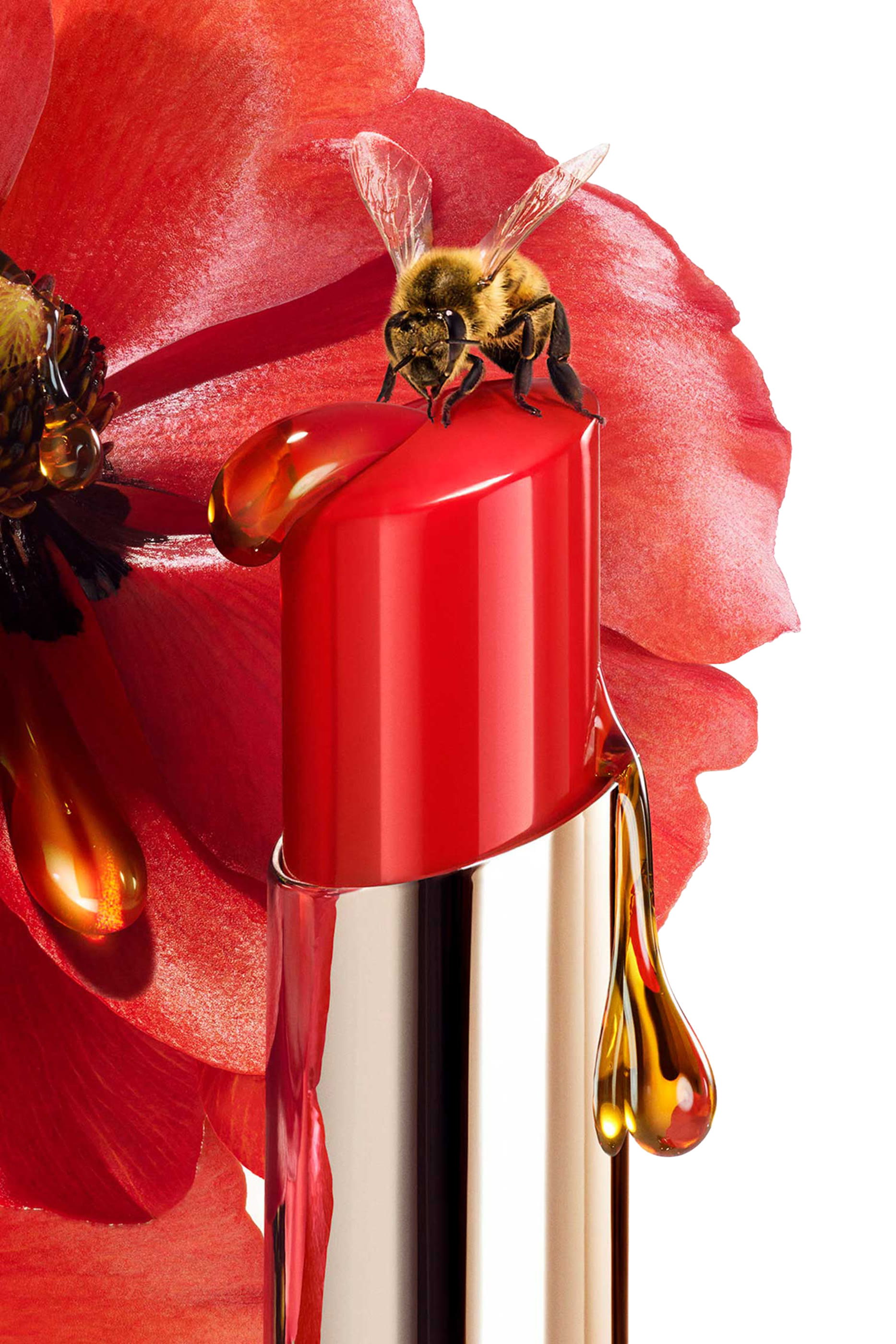 مرطب شفاه كيس كيس بي جلو