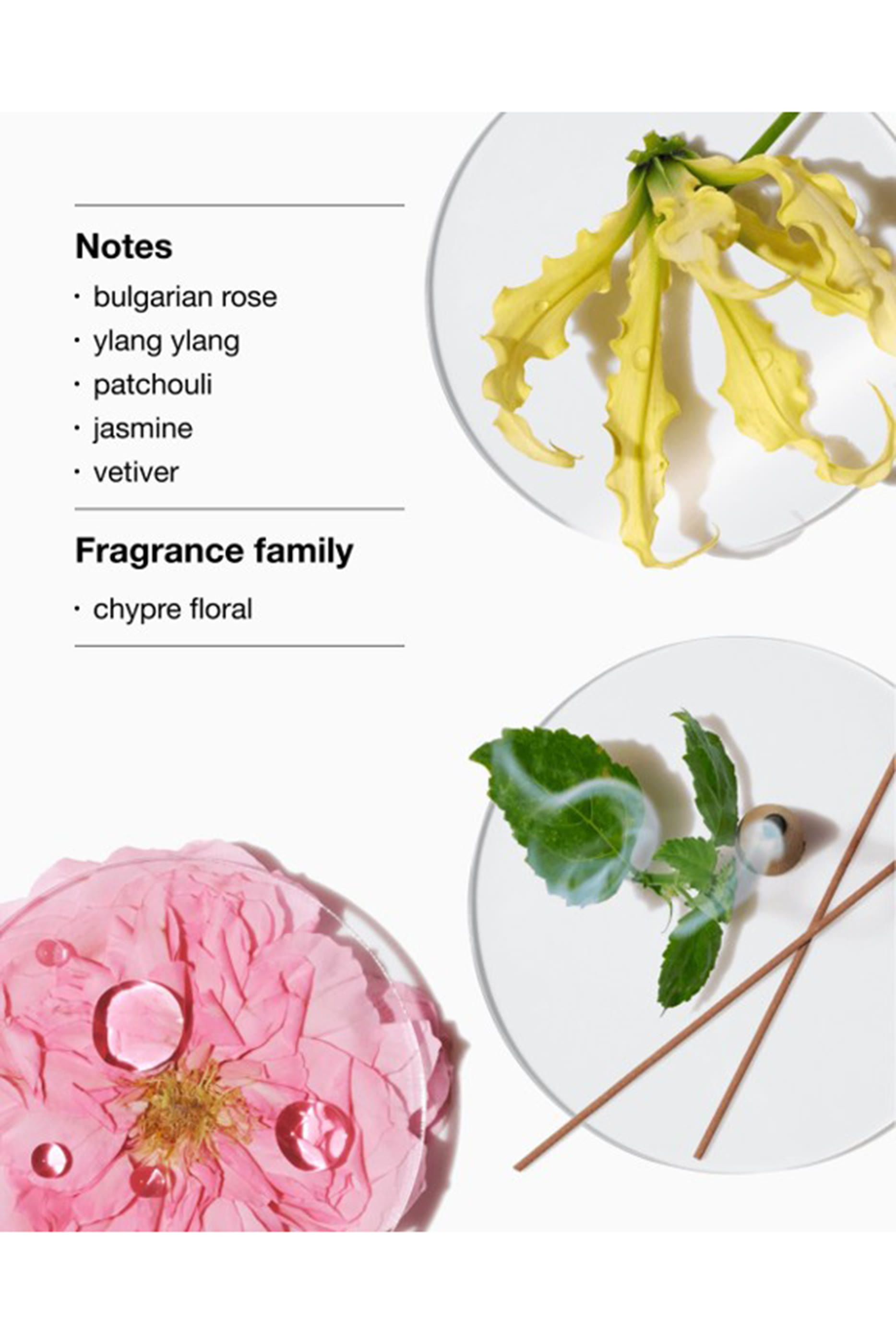 مجموعة عطر اروماتيكس إلكسير ريتشيز، توفير 24‏‏‏%