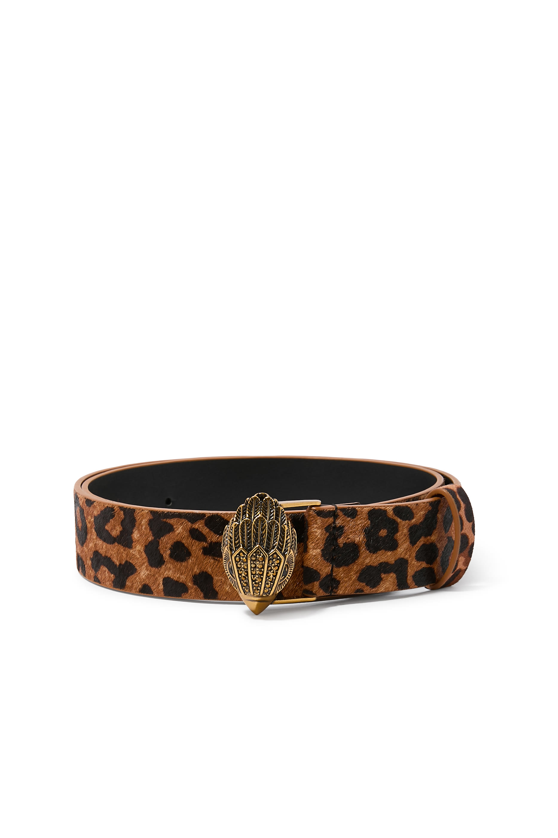 حزام كنسينغتون 38 جلد