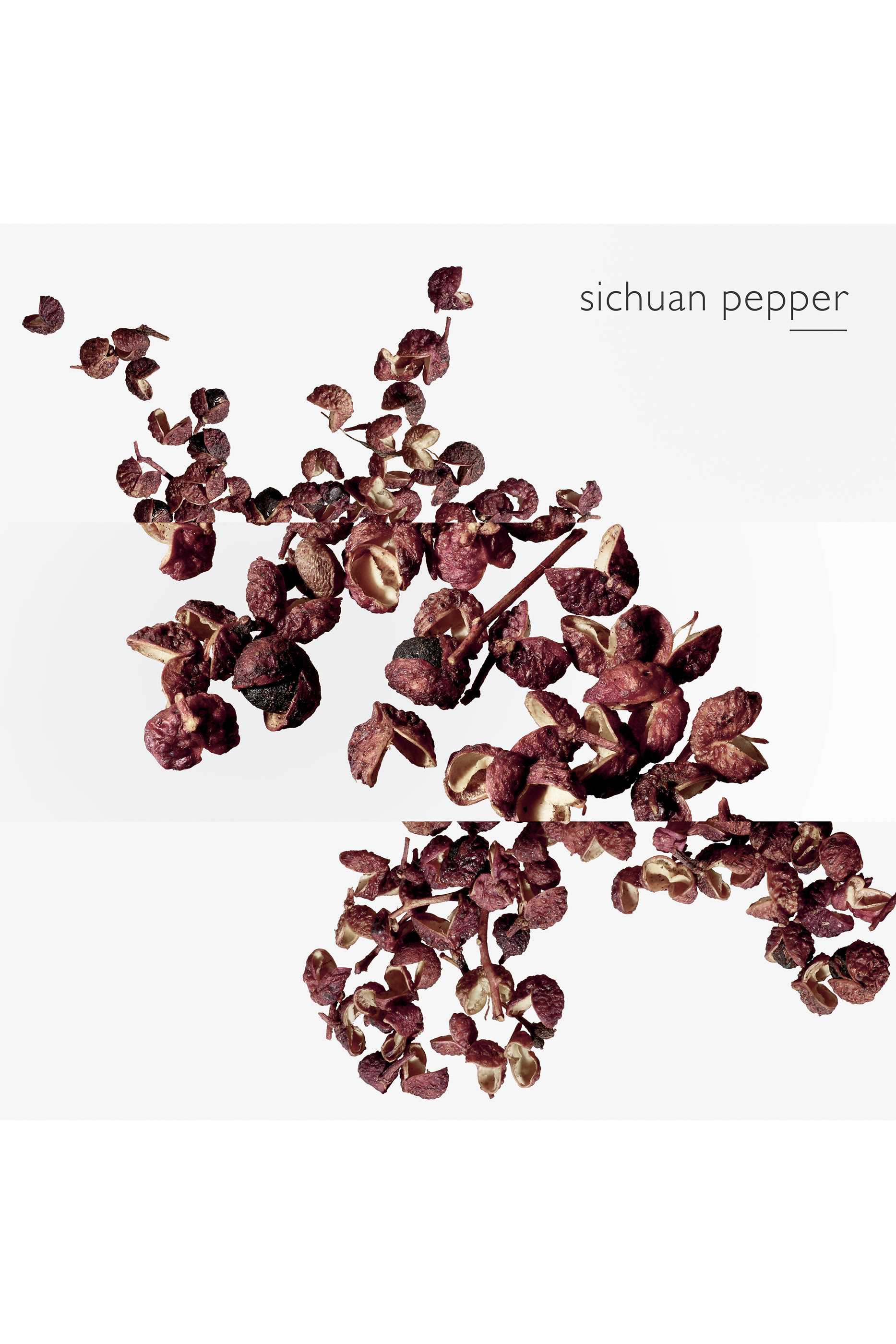 Terre d'Hermès Eau Intense Vétiver, ماء عطر