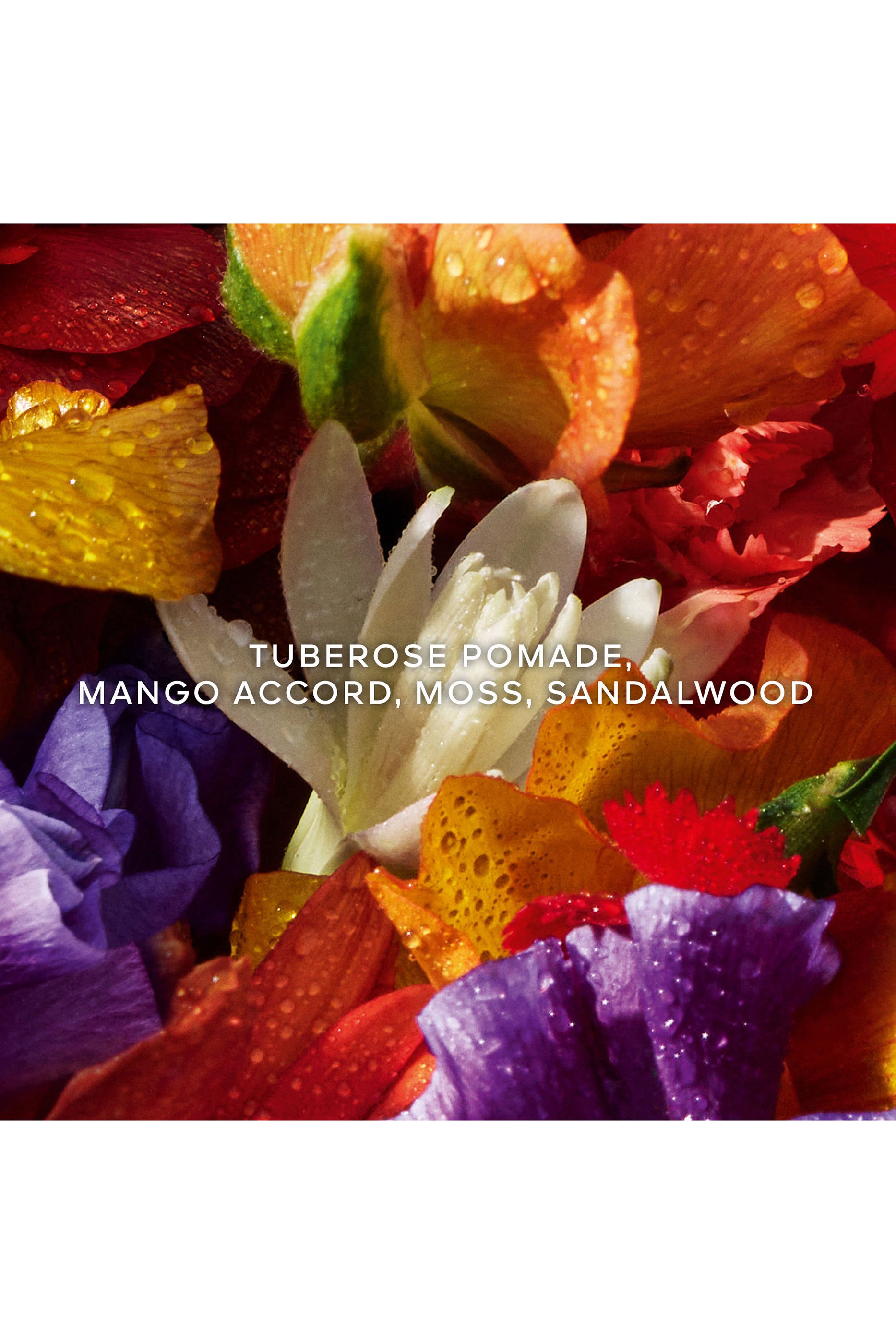 مجموعة هدية أكوا أليجوريا فلورابلوم فورتي