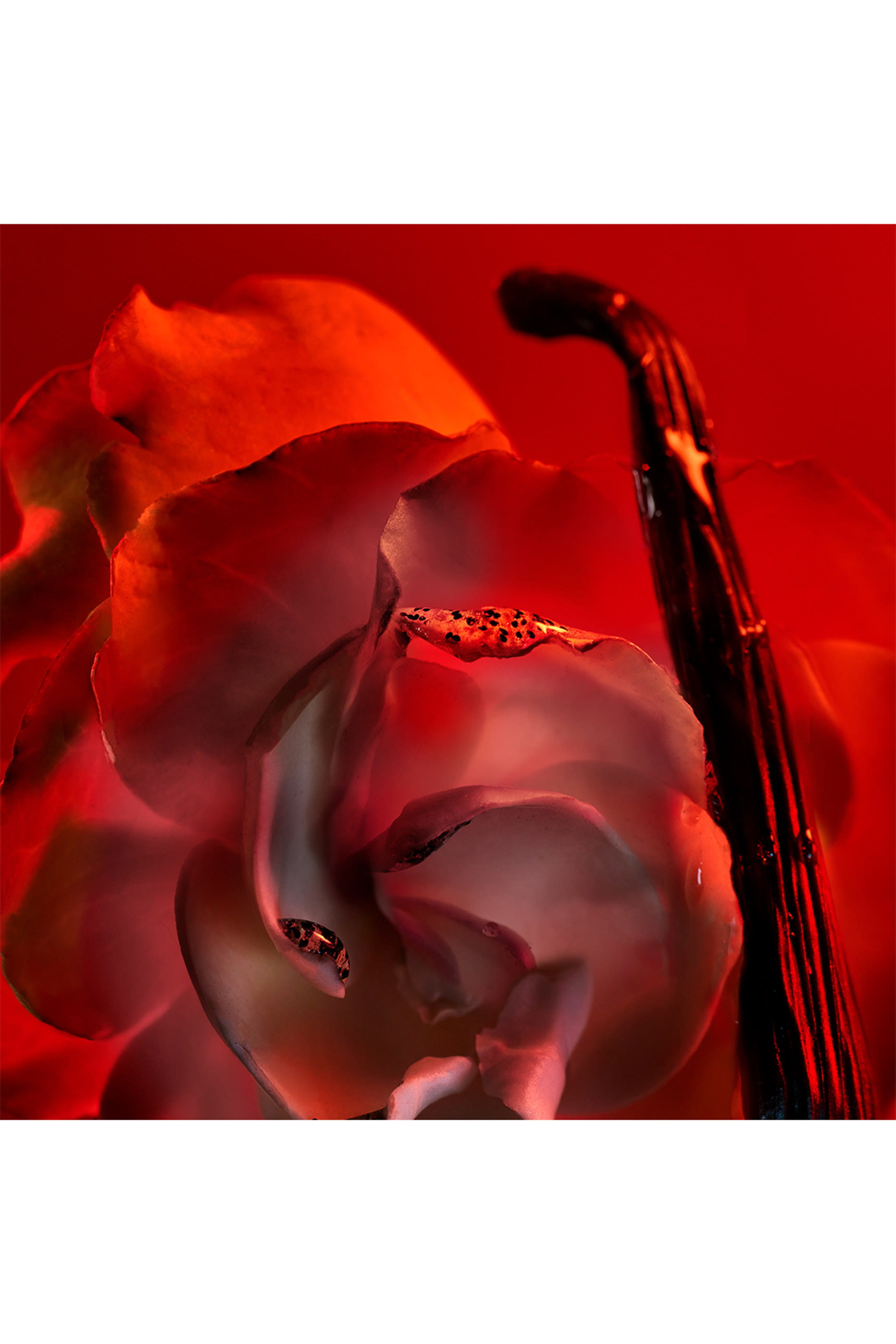 صابون سائل أليجرا باتشيامي 