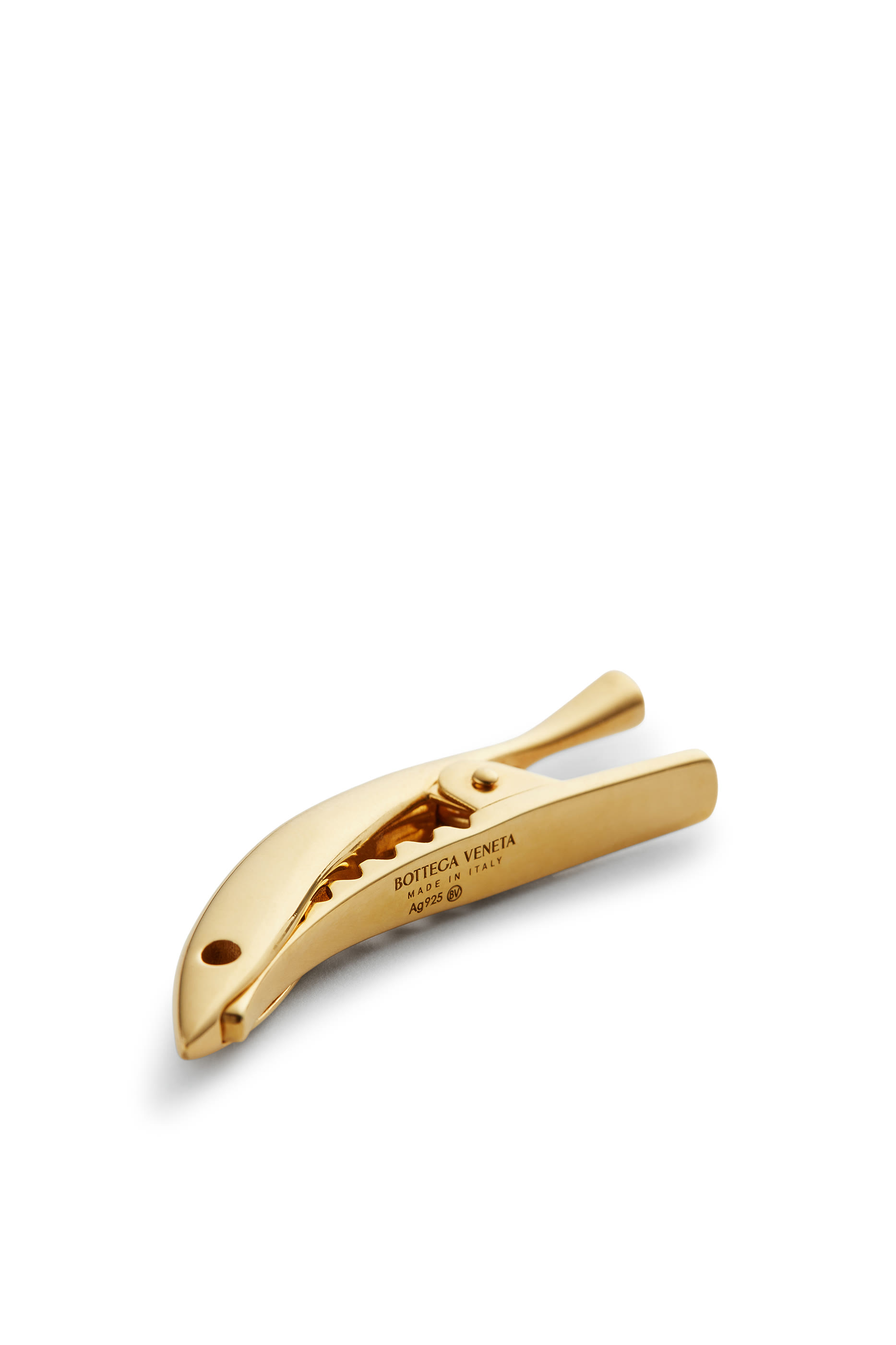 مشبك شعر بتصميم سردين