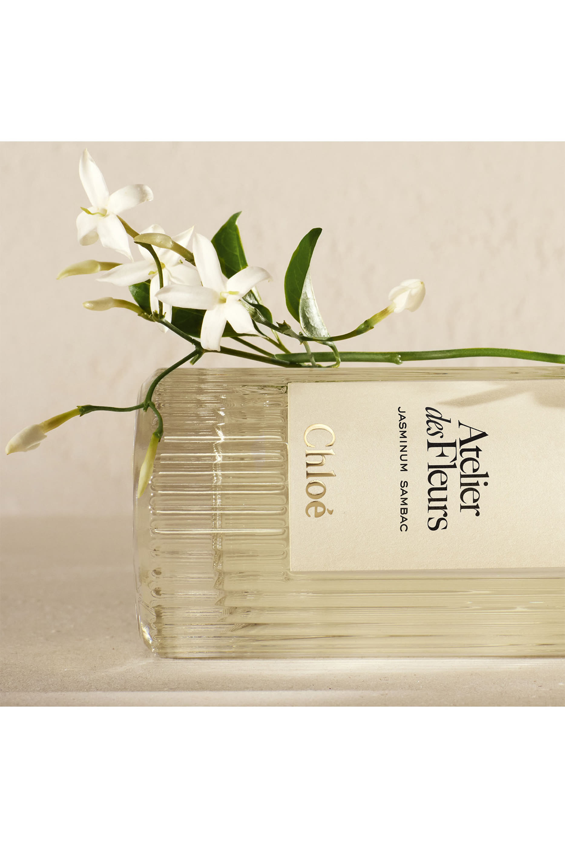 أو دو بارفان أتيليه دي فلورز ياسمينوم سامباك