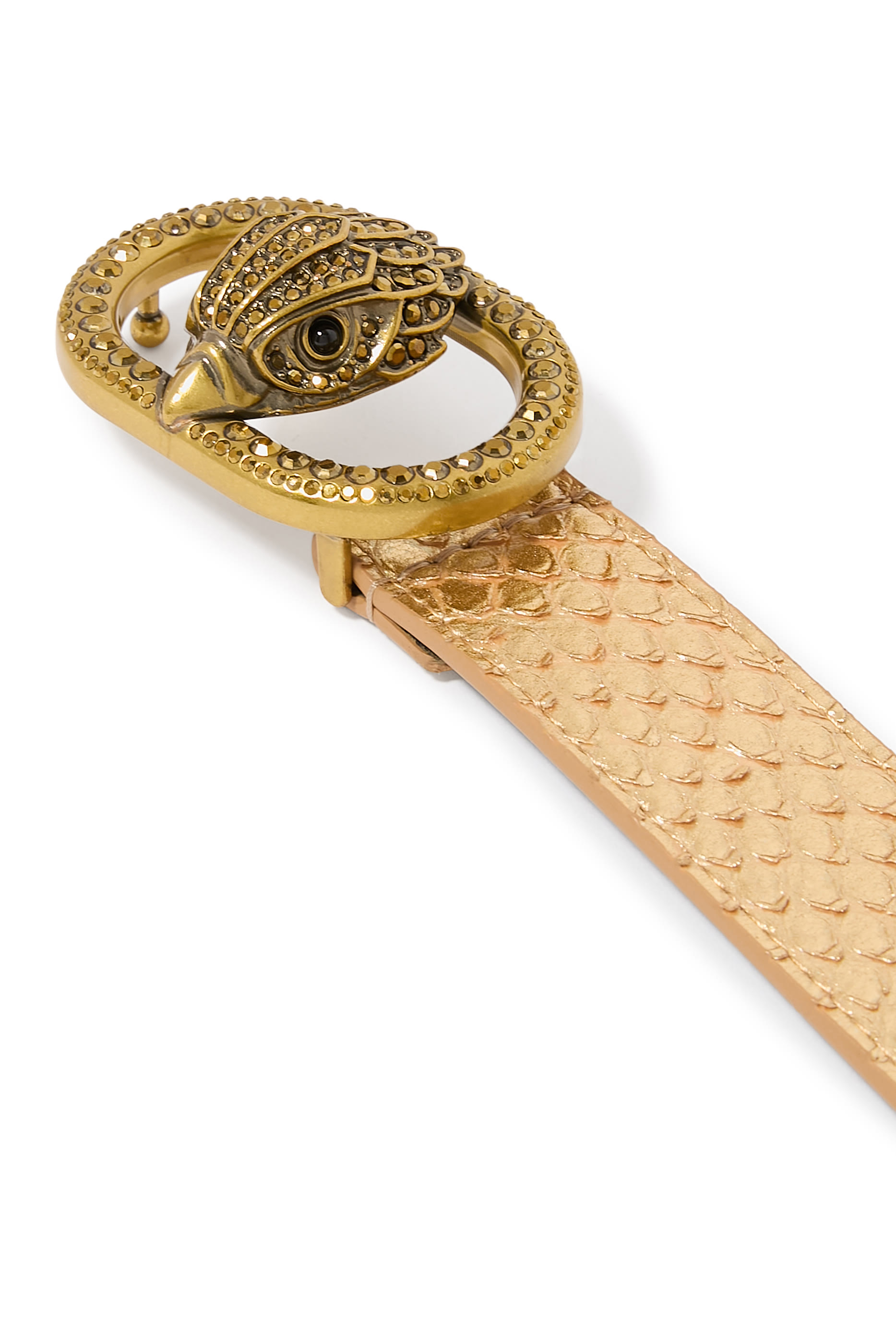 حزام تشيلسي