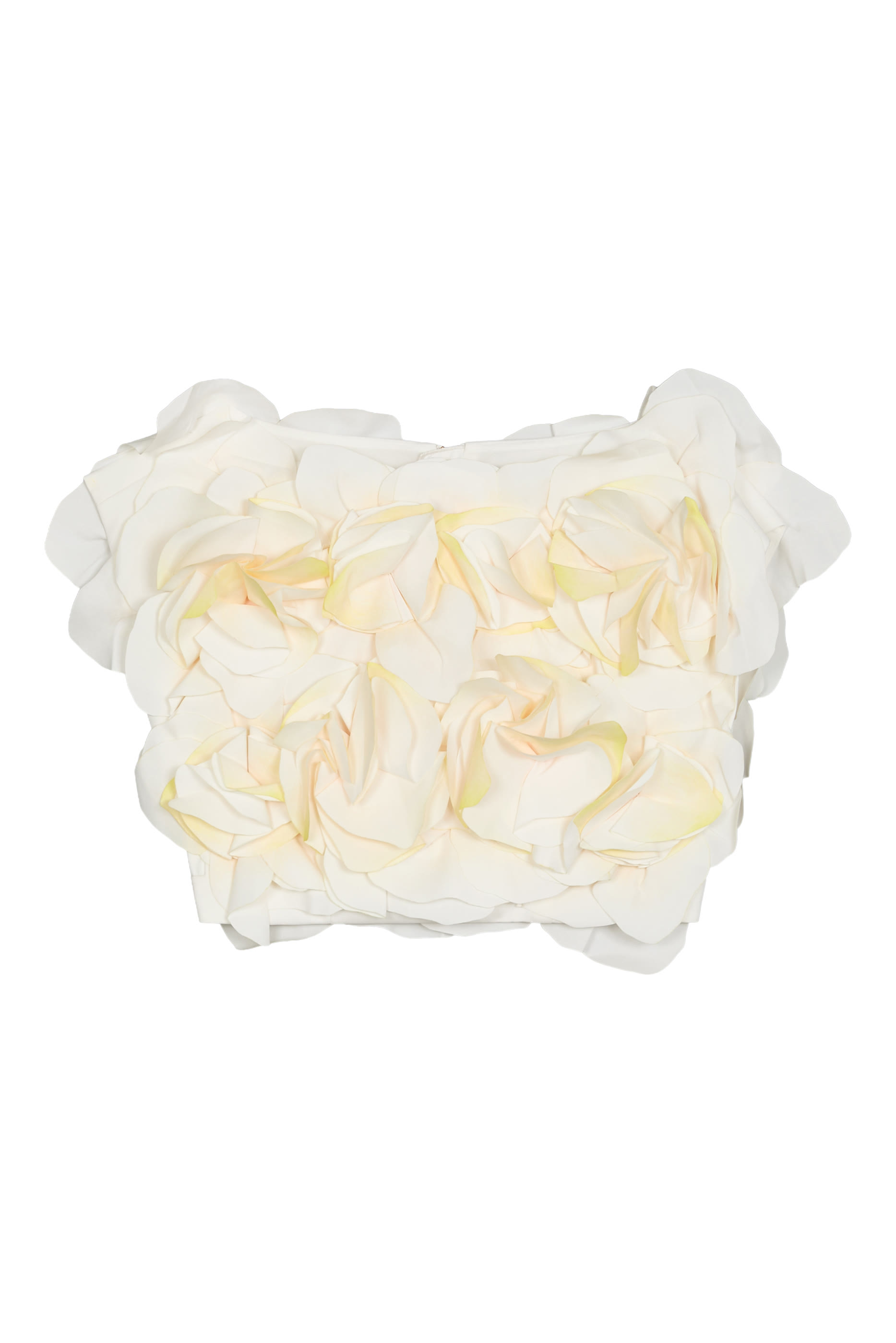 بلوزة جاكهيل