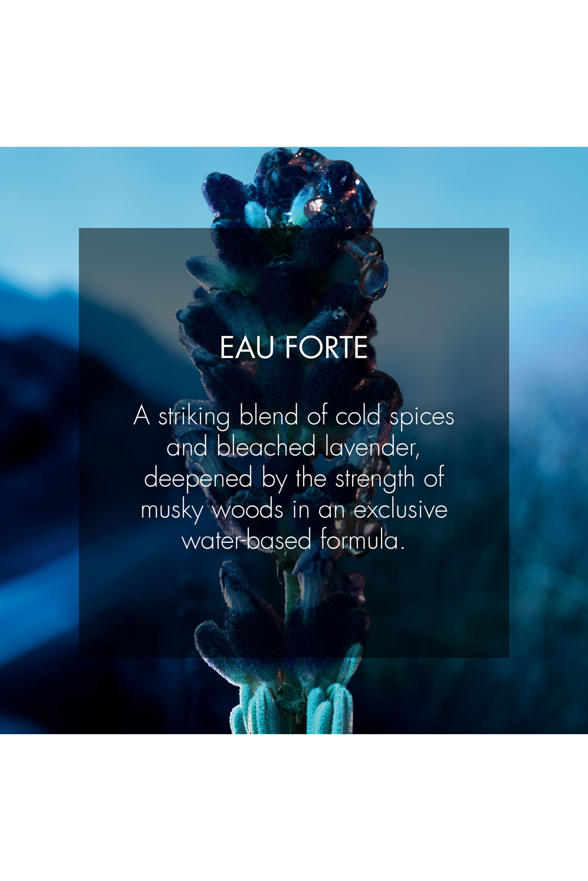 عطر سوفاج أو فورت