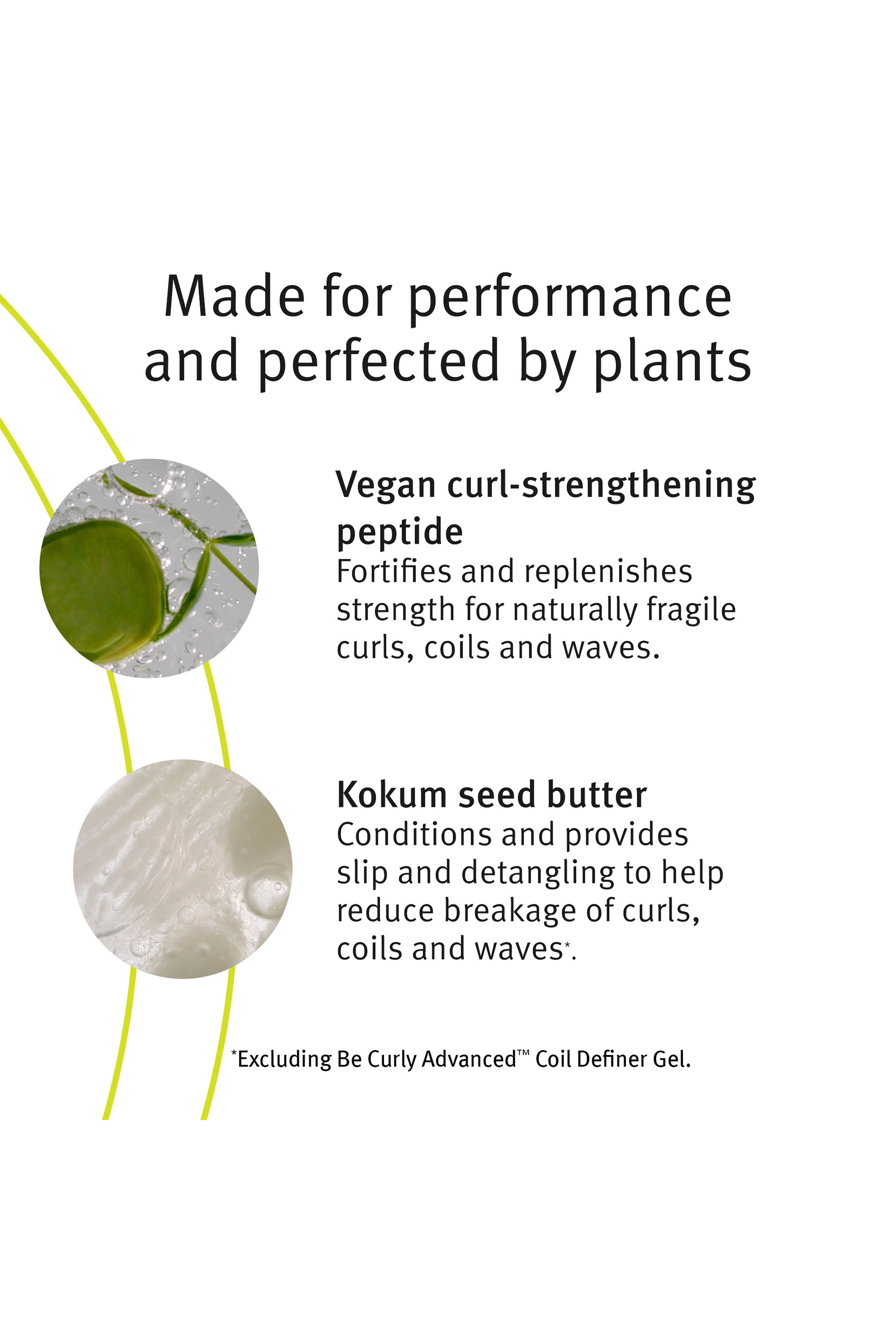كريم افيدا ادفانسد بي كورلي لتحسين تجعيد الشعر