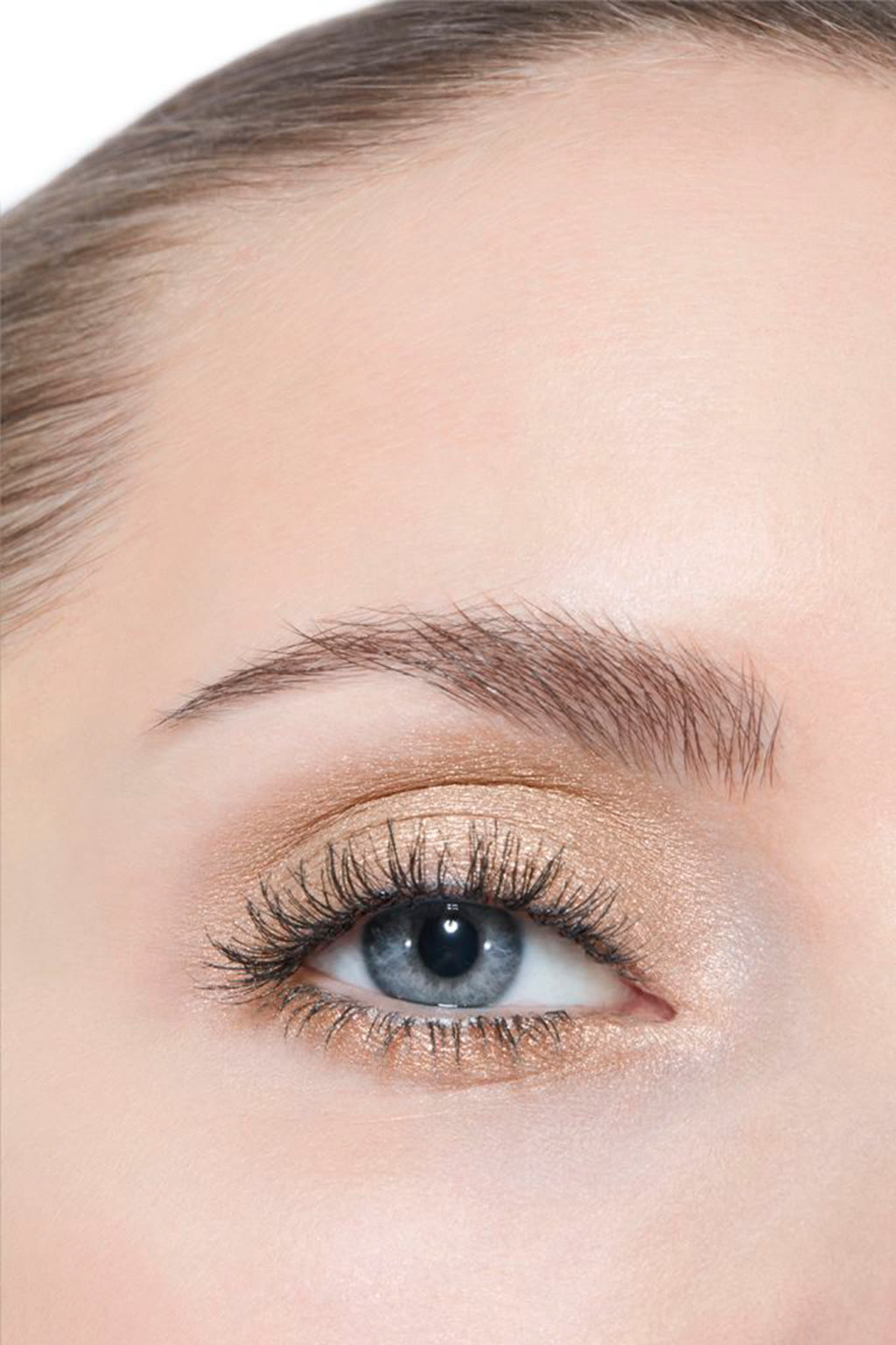 بودرة لتظليل الجفون طويلة الثبات ومتعددة التأثيرات OMBRE PREMI&Egrave;RE