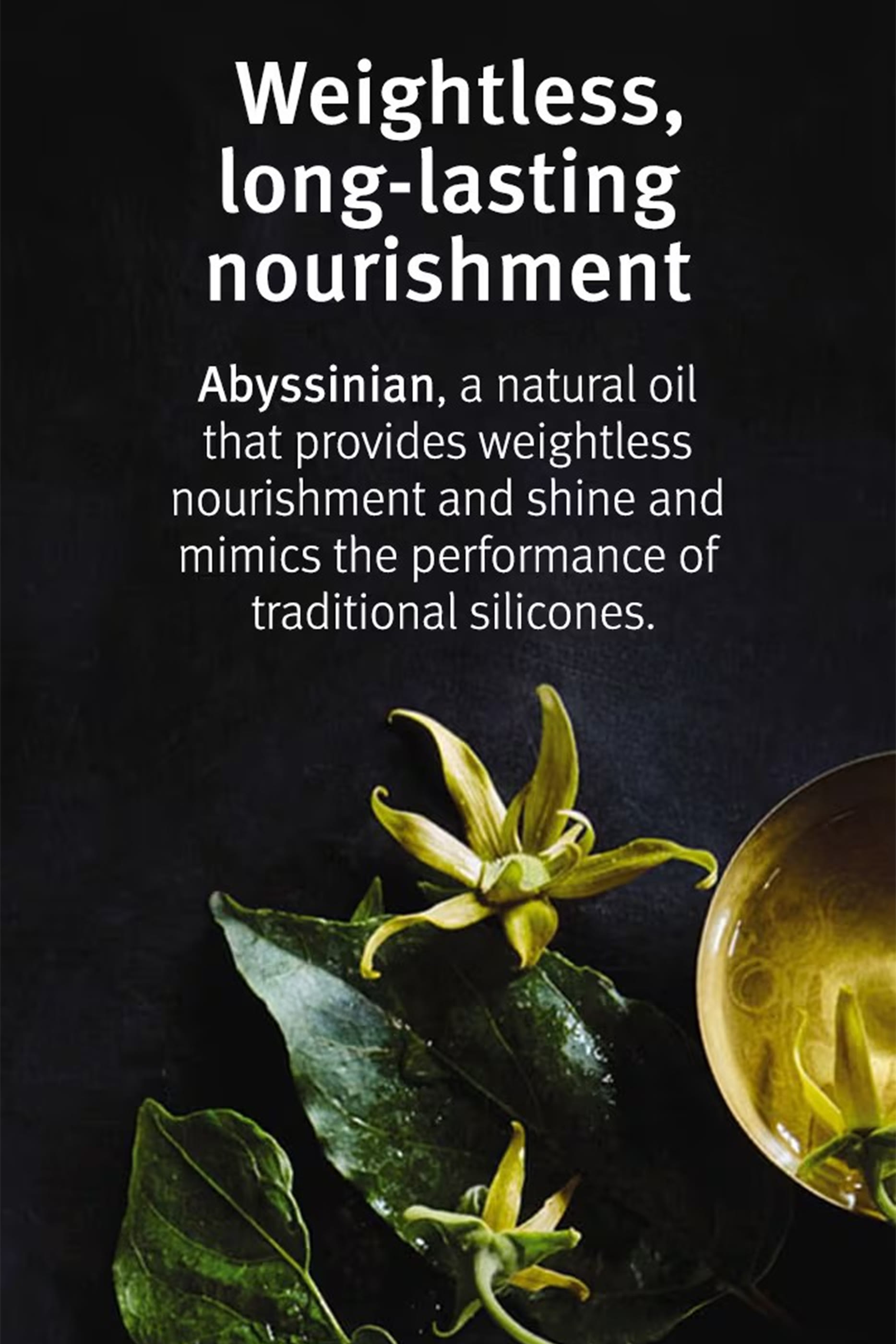 شامبو شامبيور المغذي