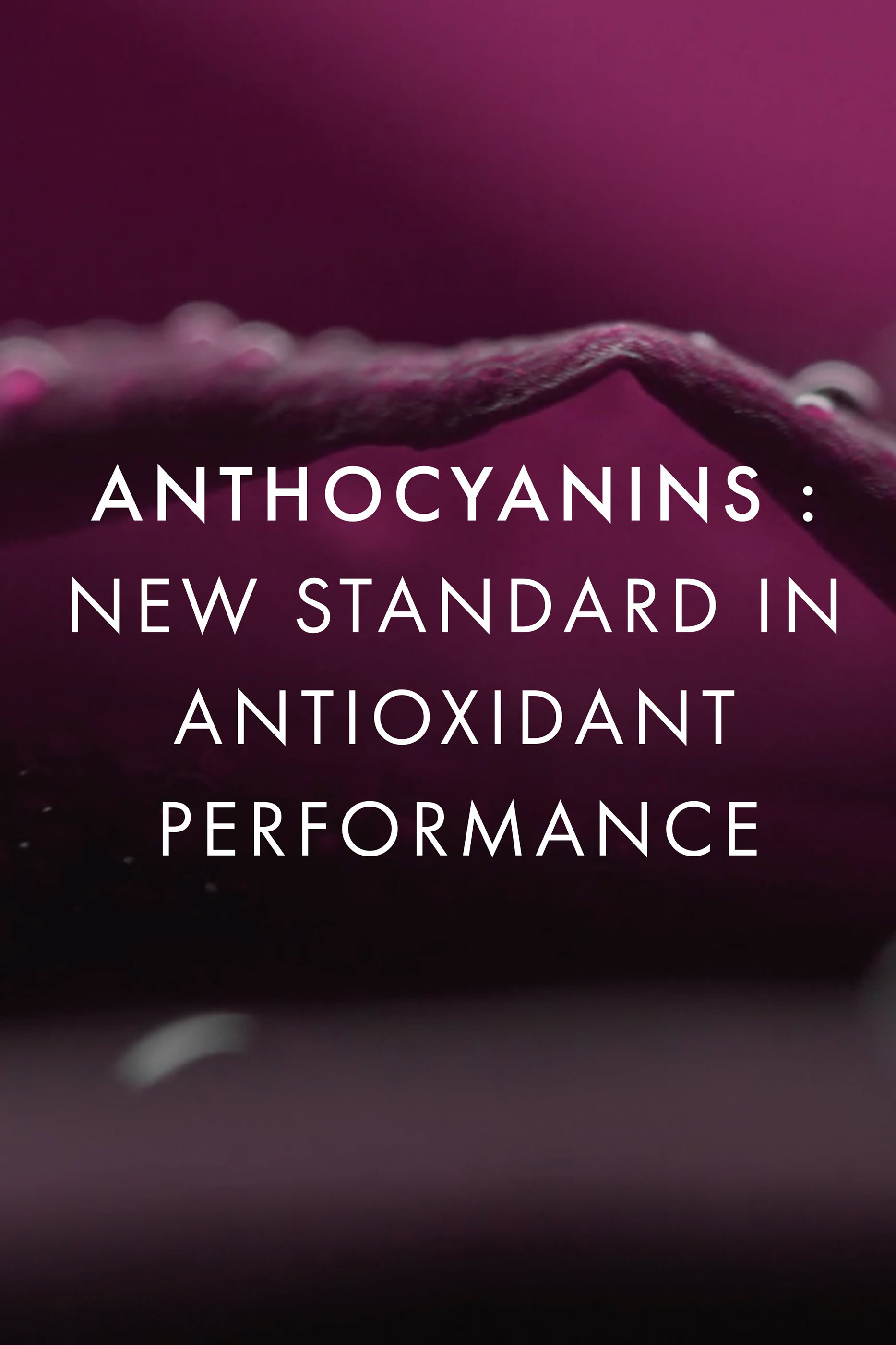 Black Rose Concentrated Serum