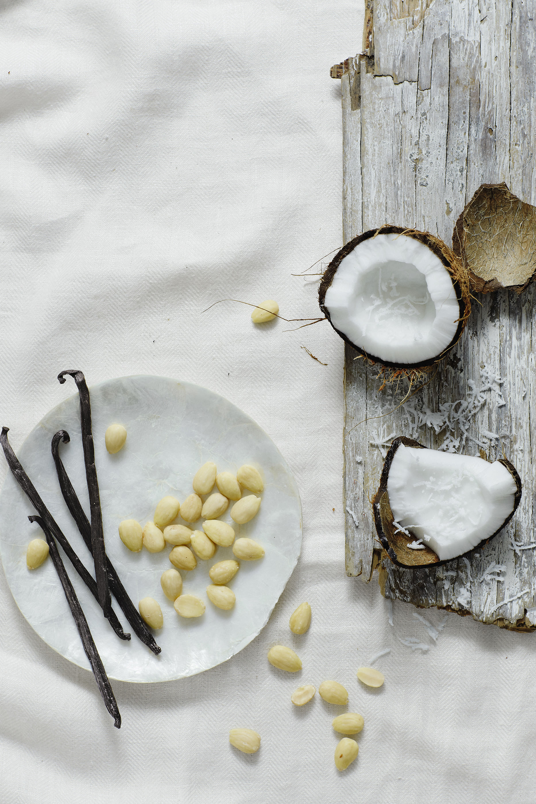 مجموعة هدايا سيشيل اندلجانس