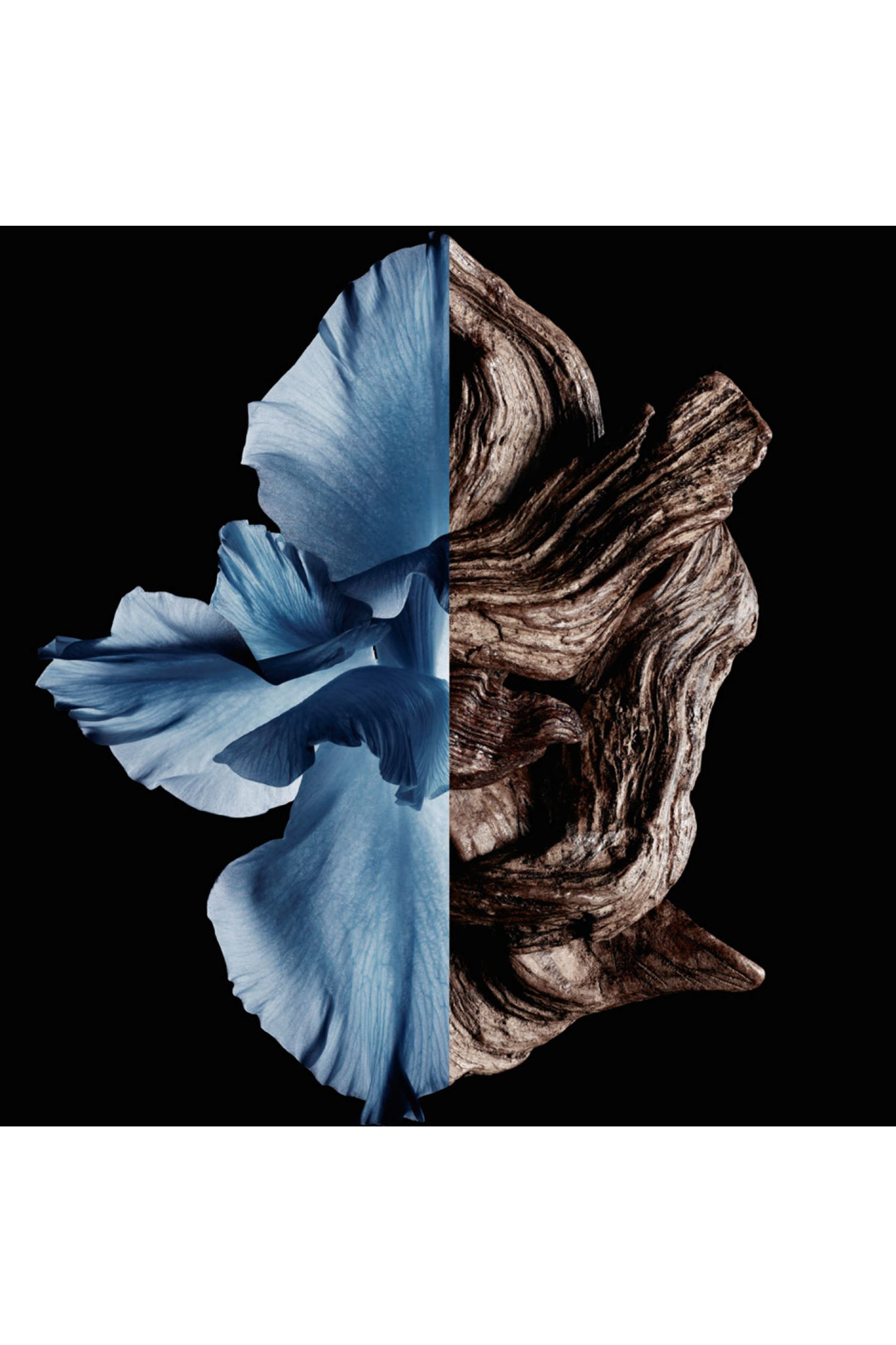 ماء تواليت جينتلمان إنتنس