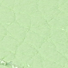 Light/Pastel Green (New)