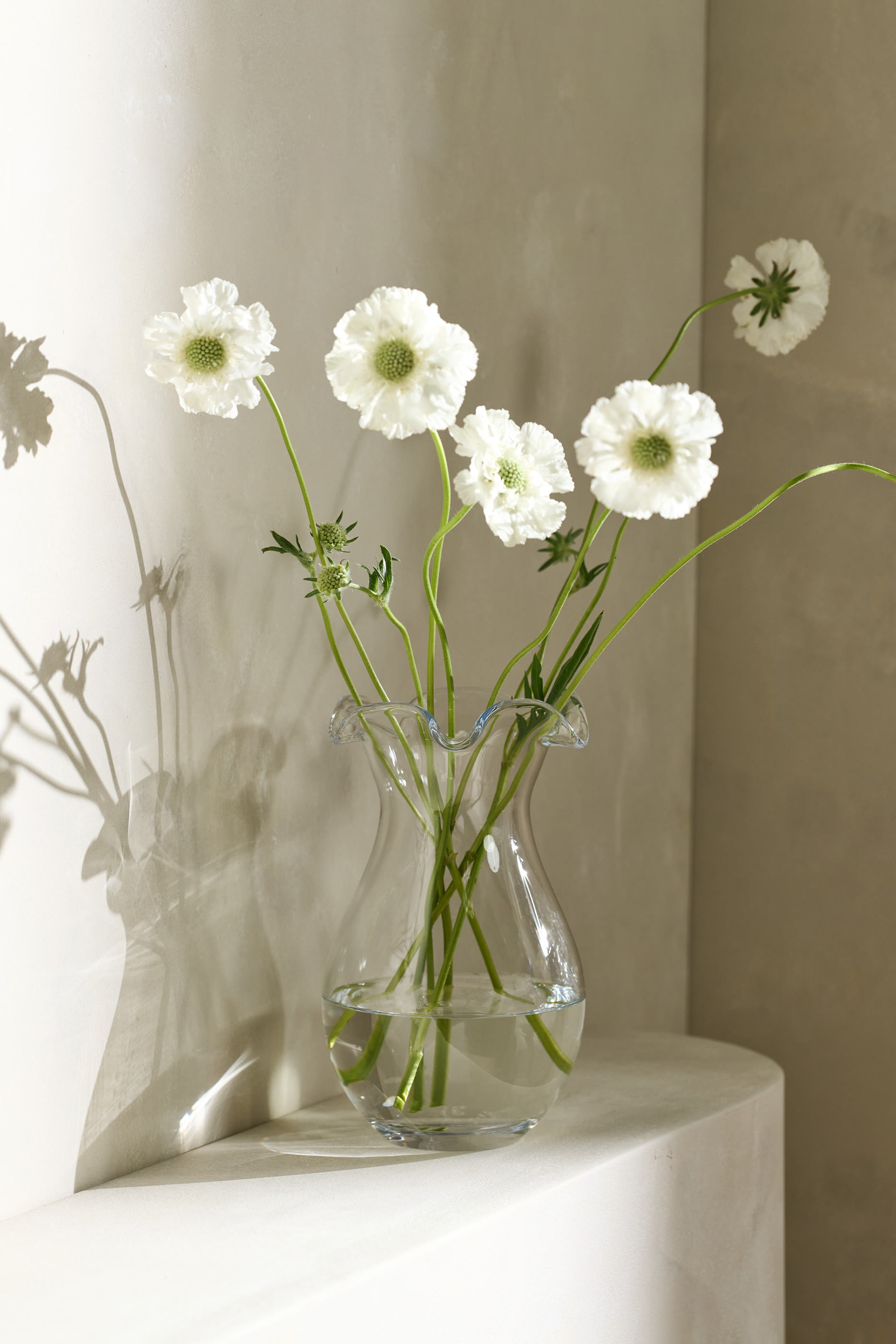 مزهرية كومبي بحواف مموجة