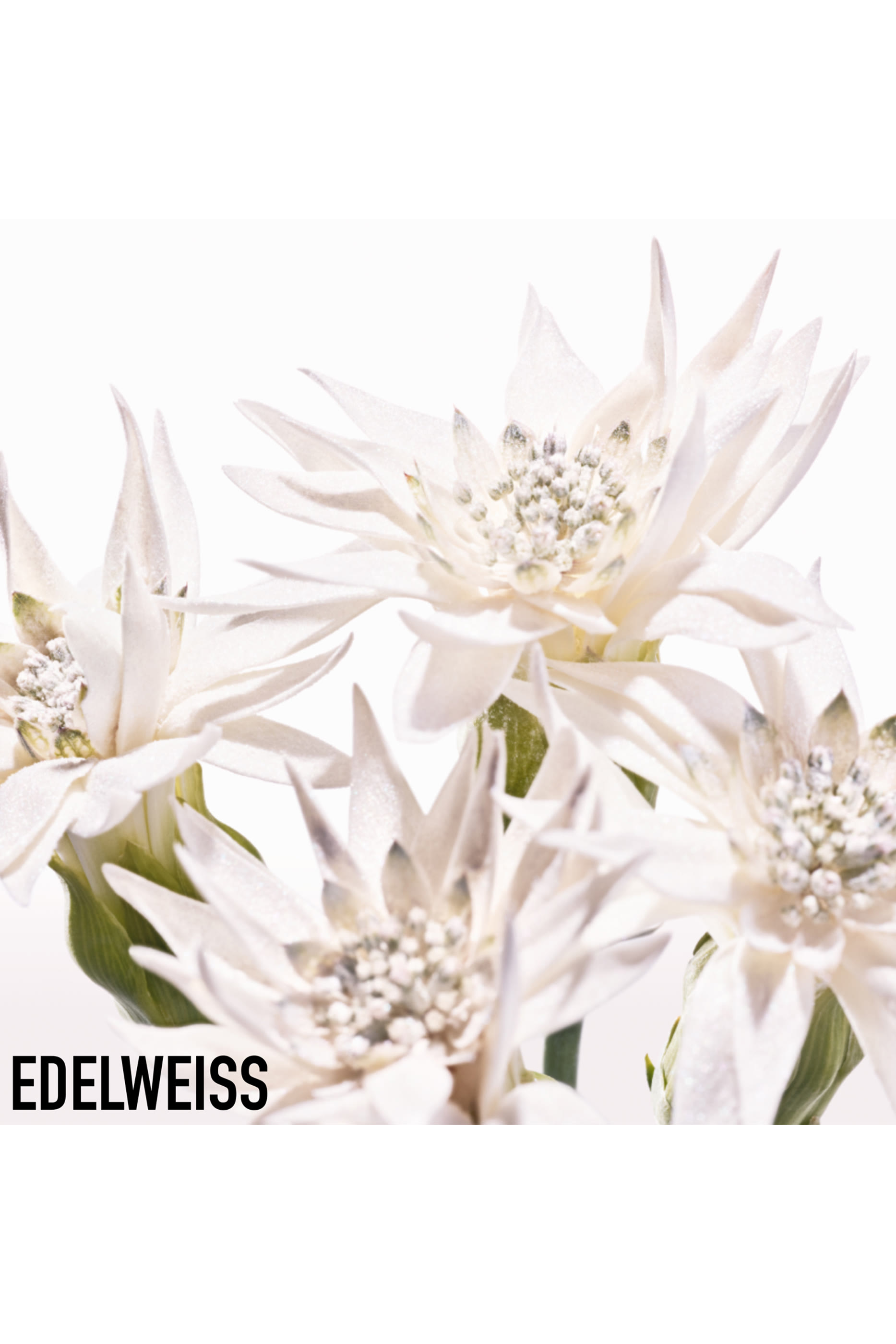 واقي الشمس ديور سنو ألتميت يو في شيلد المسامي لتفتيح البشرة بعامل SPF 50+ PA+++