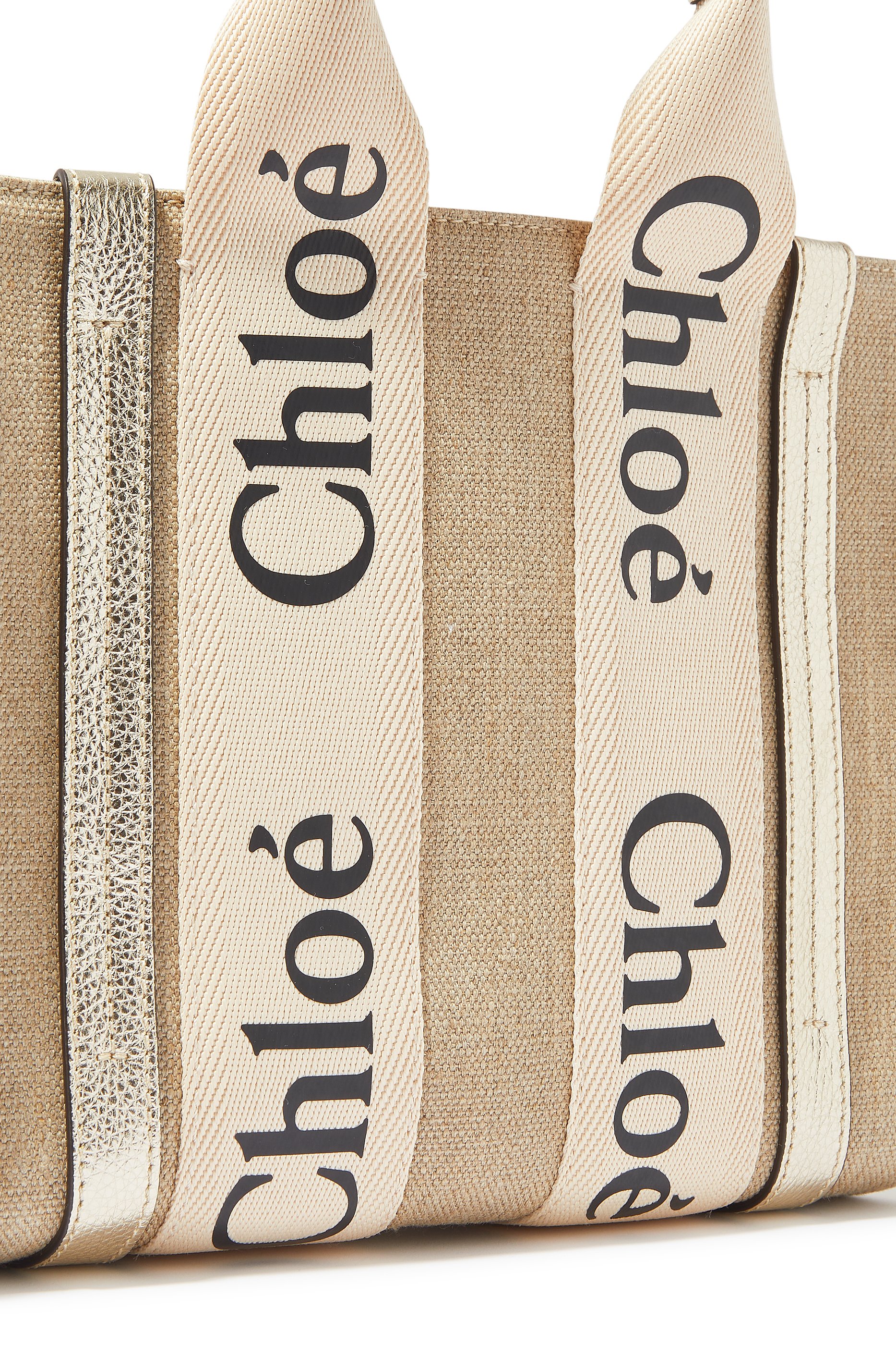 حقيبة يد صغيرة