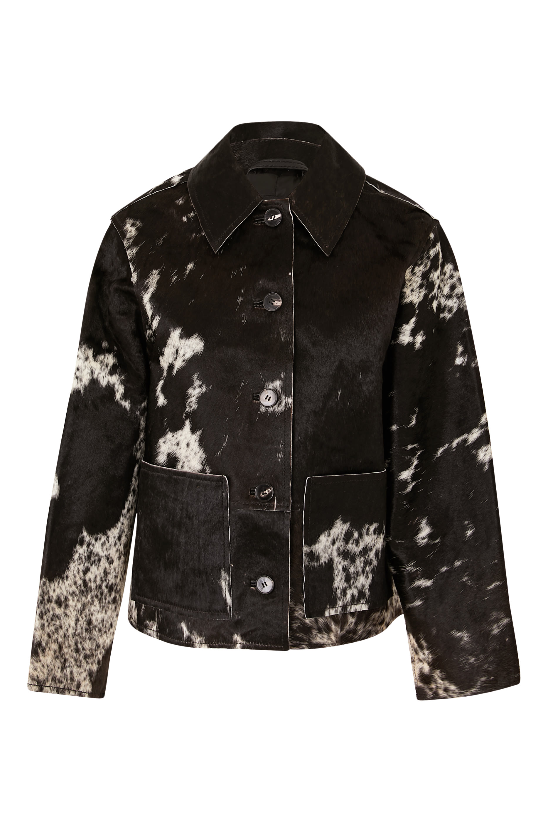 جاكيت هيسلي