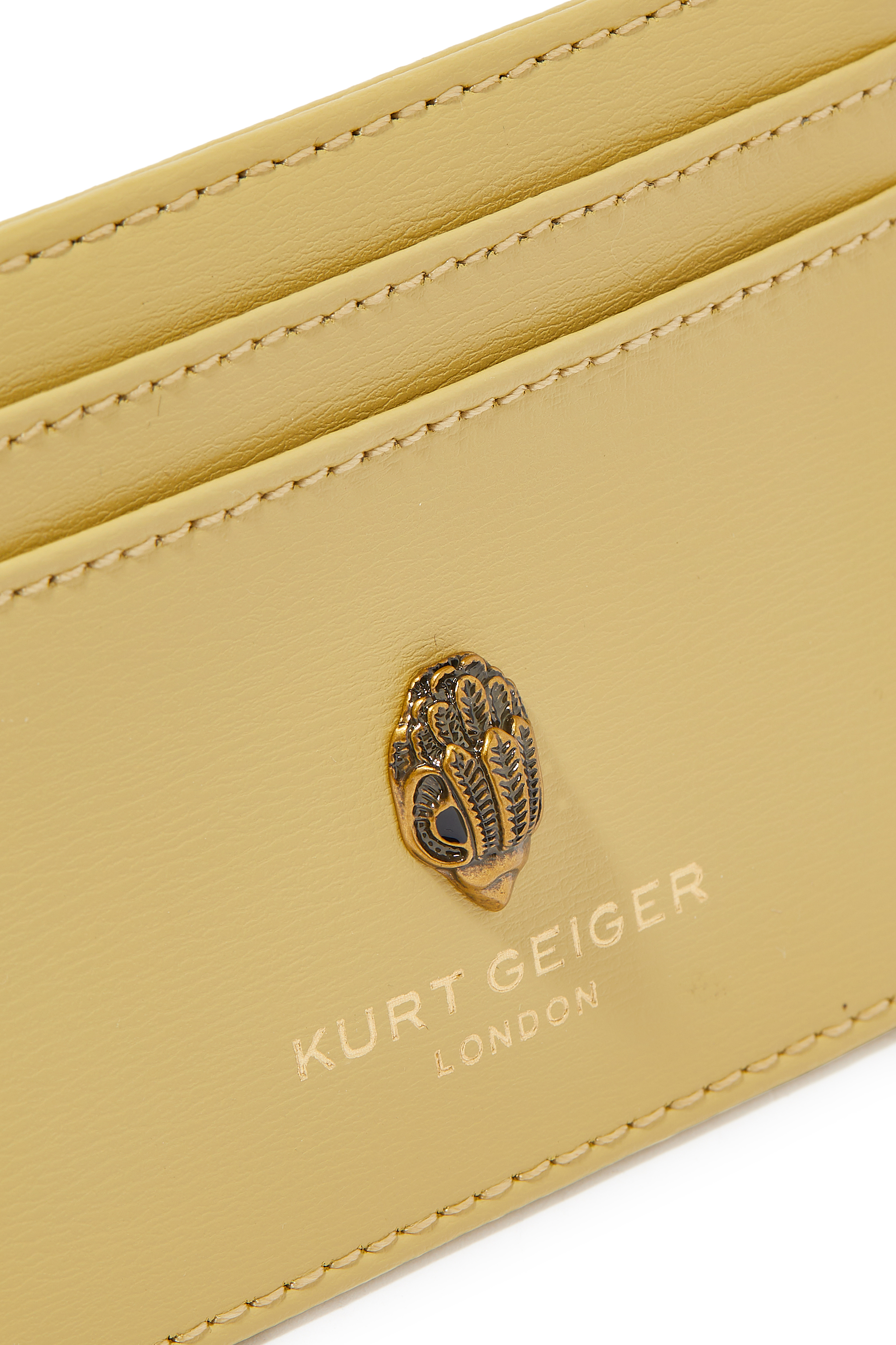 حافظة بطاقات شورديتش