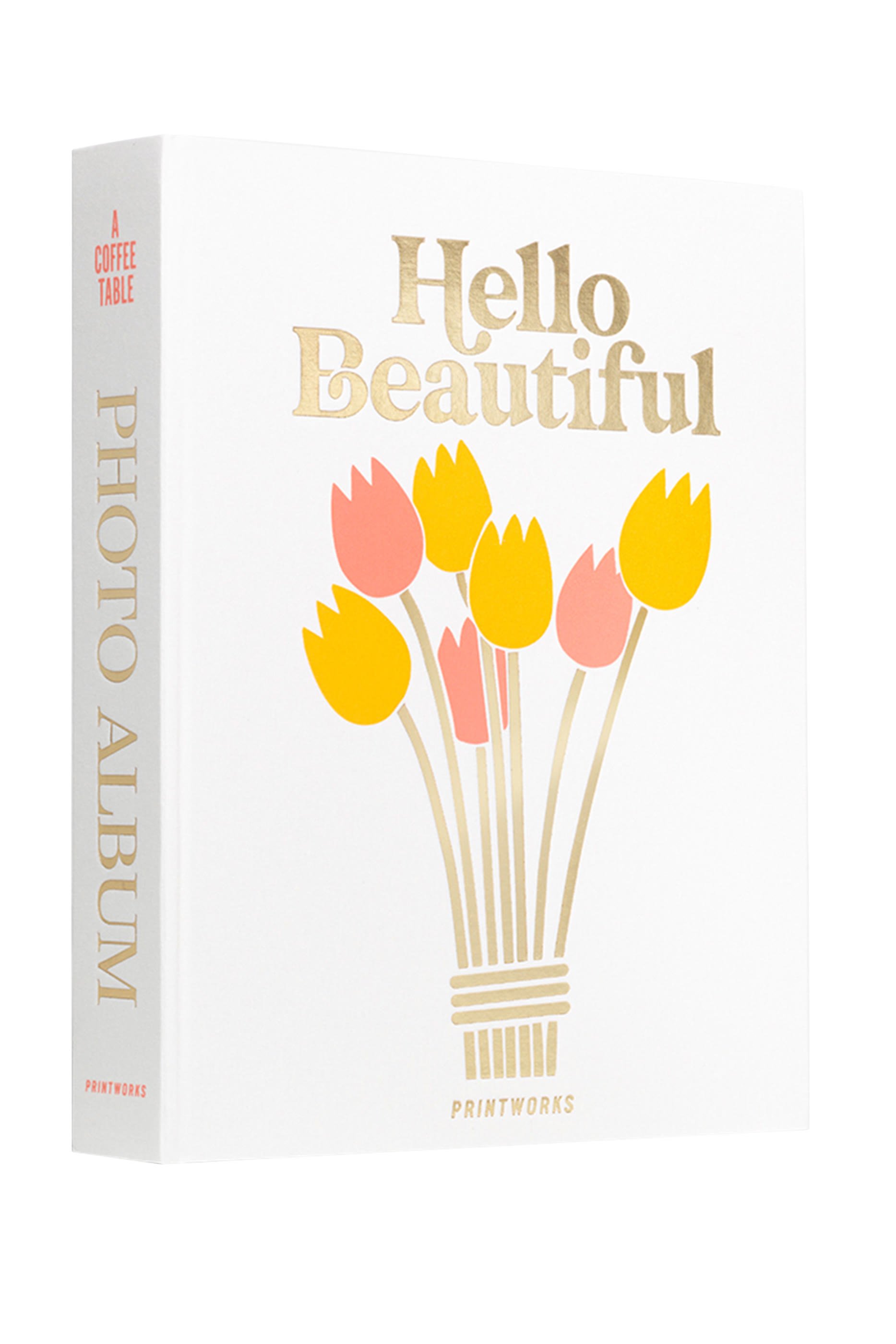 ألبوم صور هيلو بيوتيفول