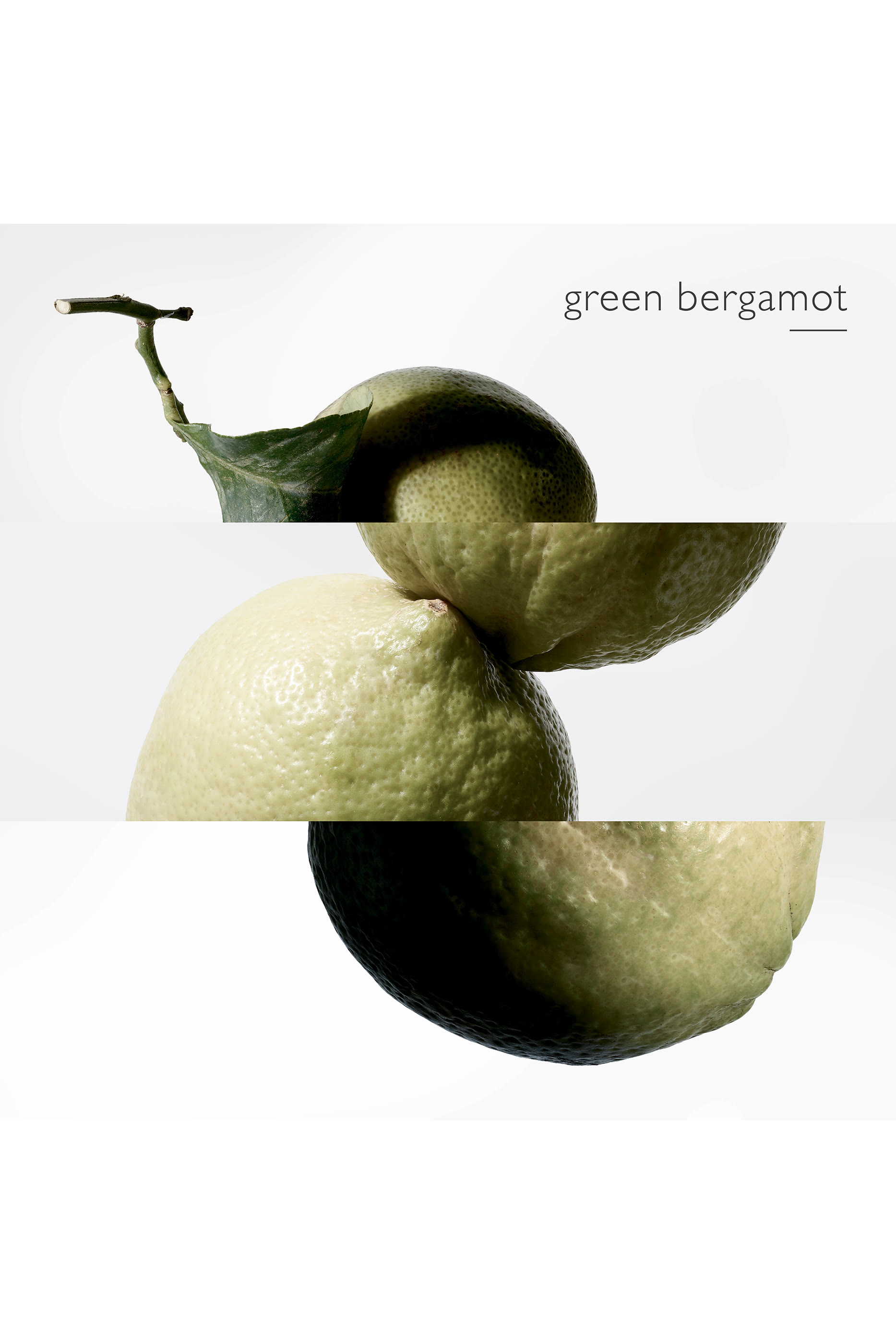 Terre d'Herm&egrave;s Eau Intense V&eacute;tiver, ماء عطر