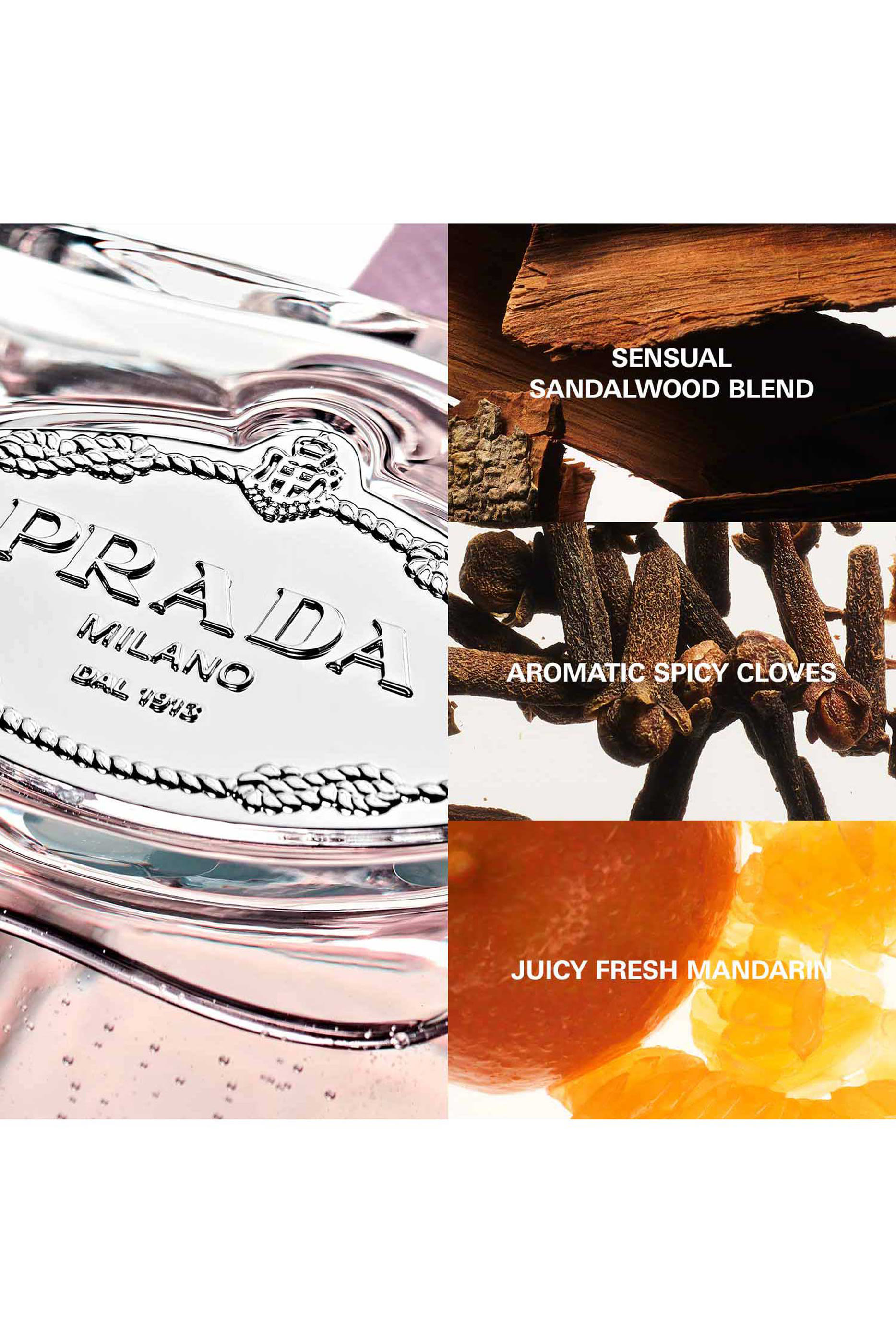 ماء عطر لي إنفيوجنس دو برادا أويلي