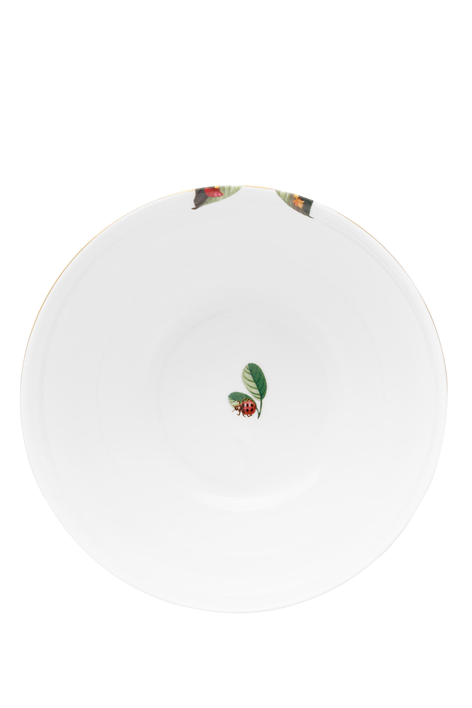 وعاء لا ماجوريل