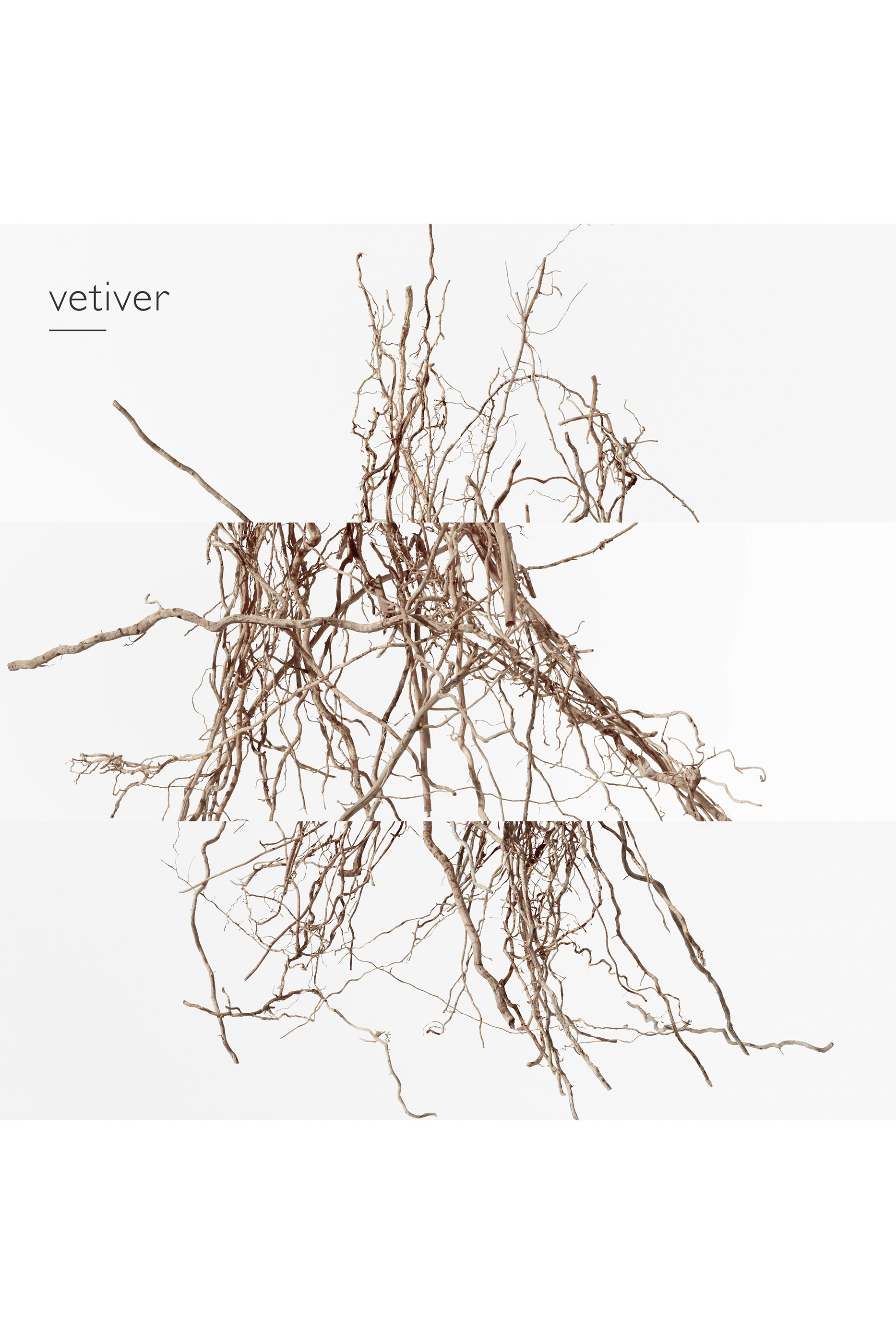 Terre d'Hermès Eau Intense Vétiver, ماء عطر