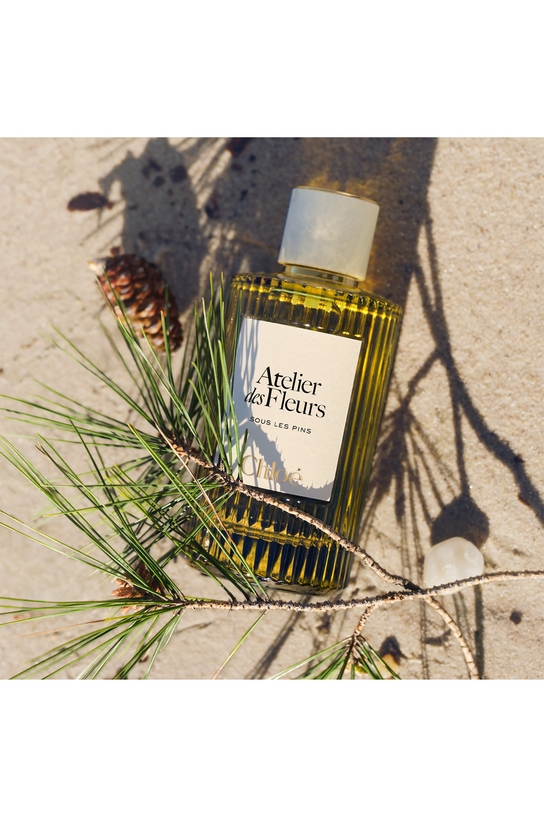 أو دو بارفان اتولييه دي فلور سو لي بينز