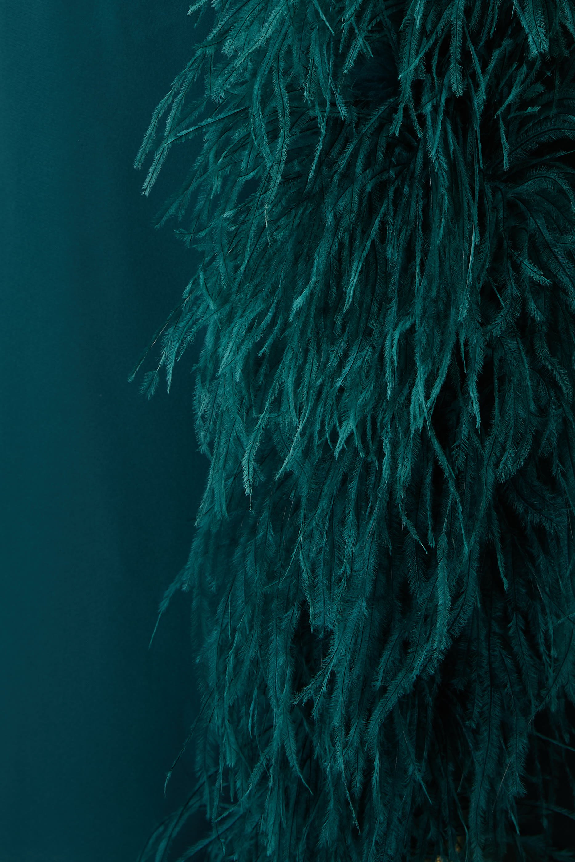  تنورة طويلة بخصر مرتفع بتفاصيل ريش وفتحة جانبية ساتان