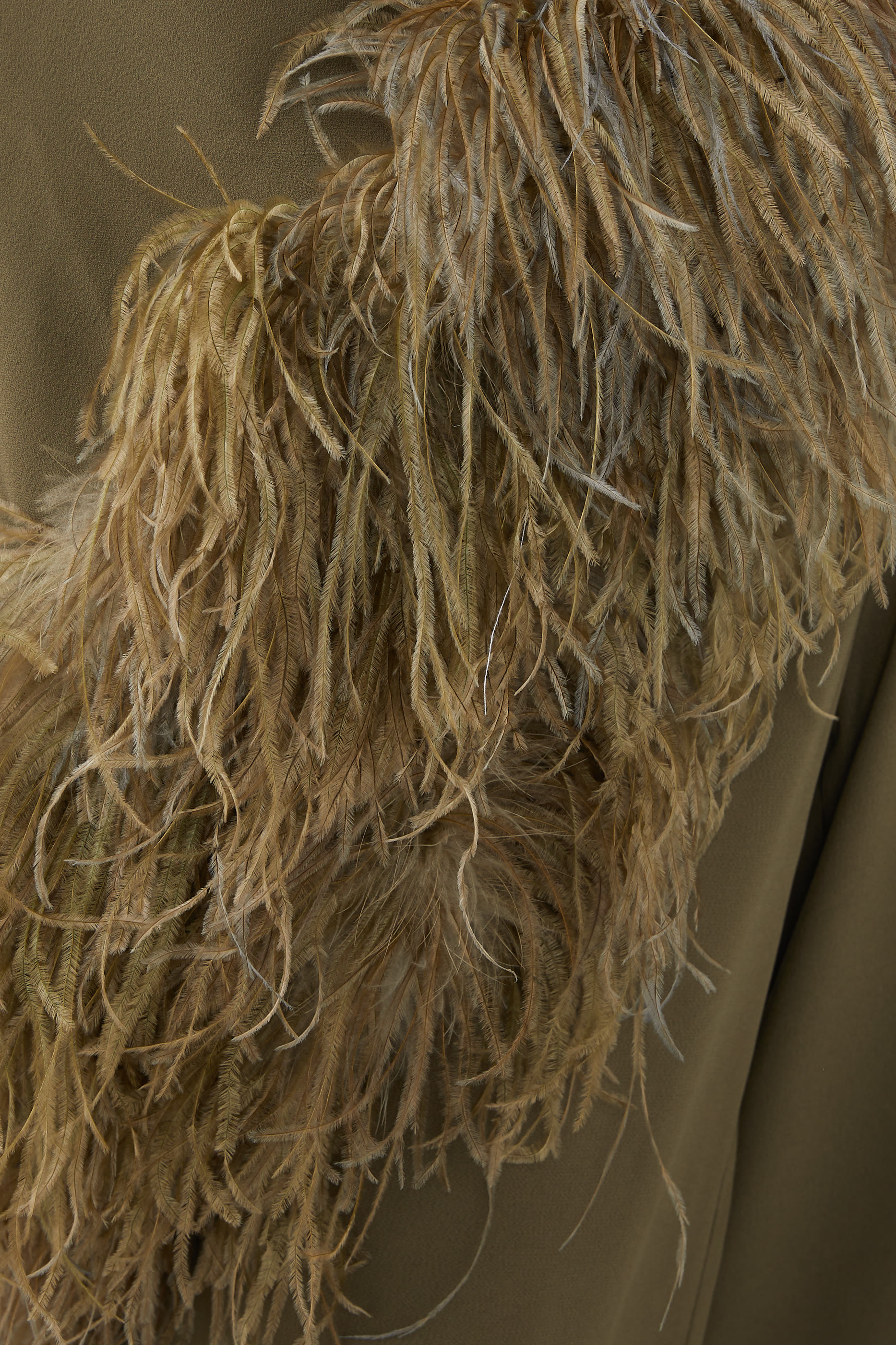 جمبسوت ايبرو بتفاصيل ريش