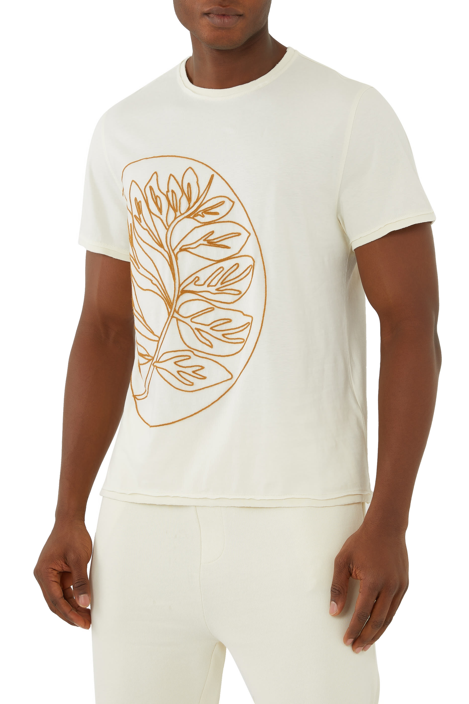 تيشيرت أرتيست هاكمانيت