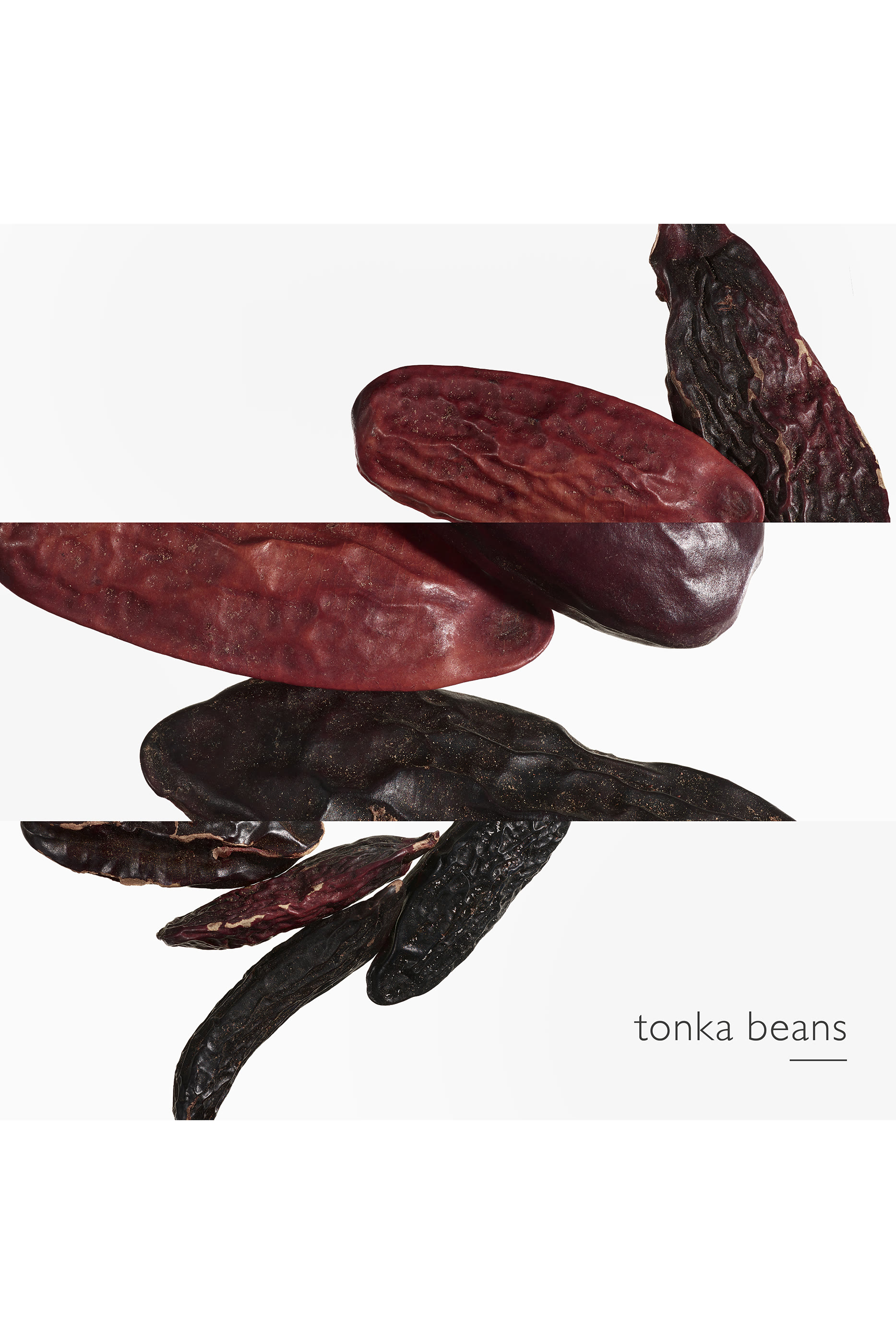 ماءعطرL'Ombre des Merveilles