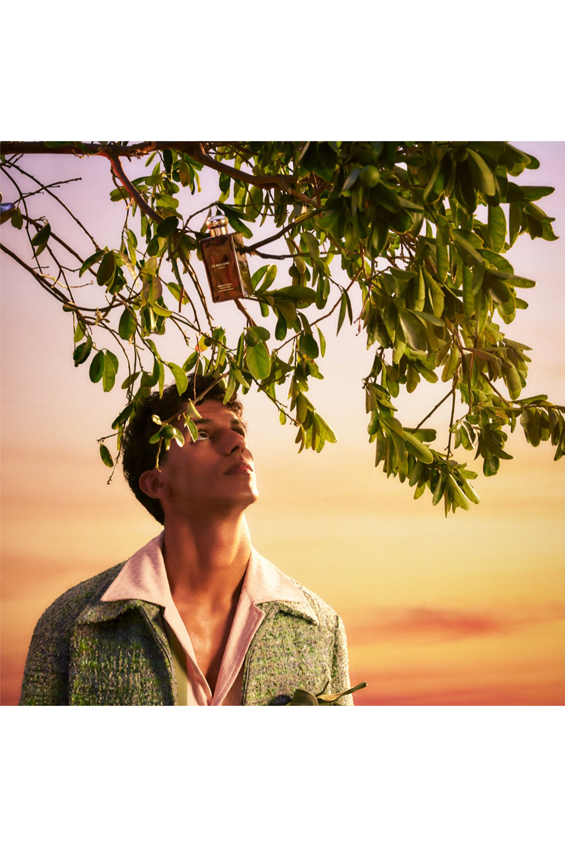 كولونيا مركز برونز وود اند ليذر