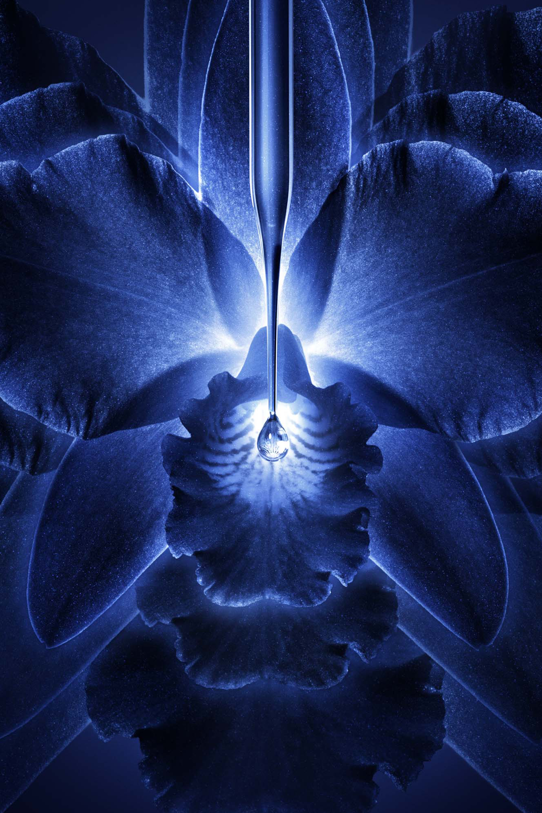 عبوة إعادة ملء كريم غني أوركيد أمبريال