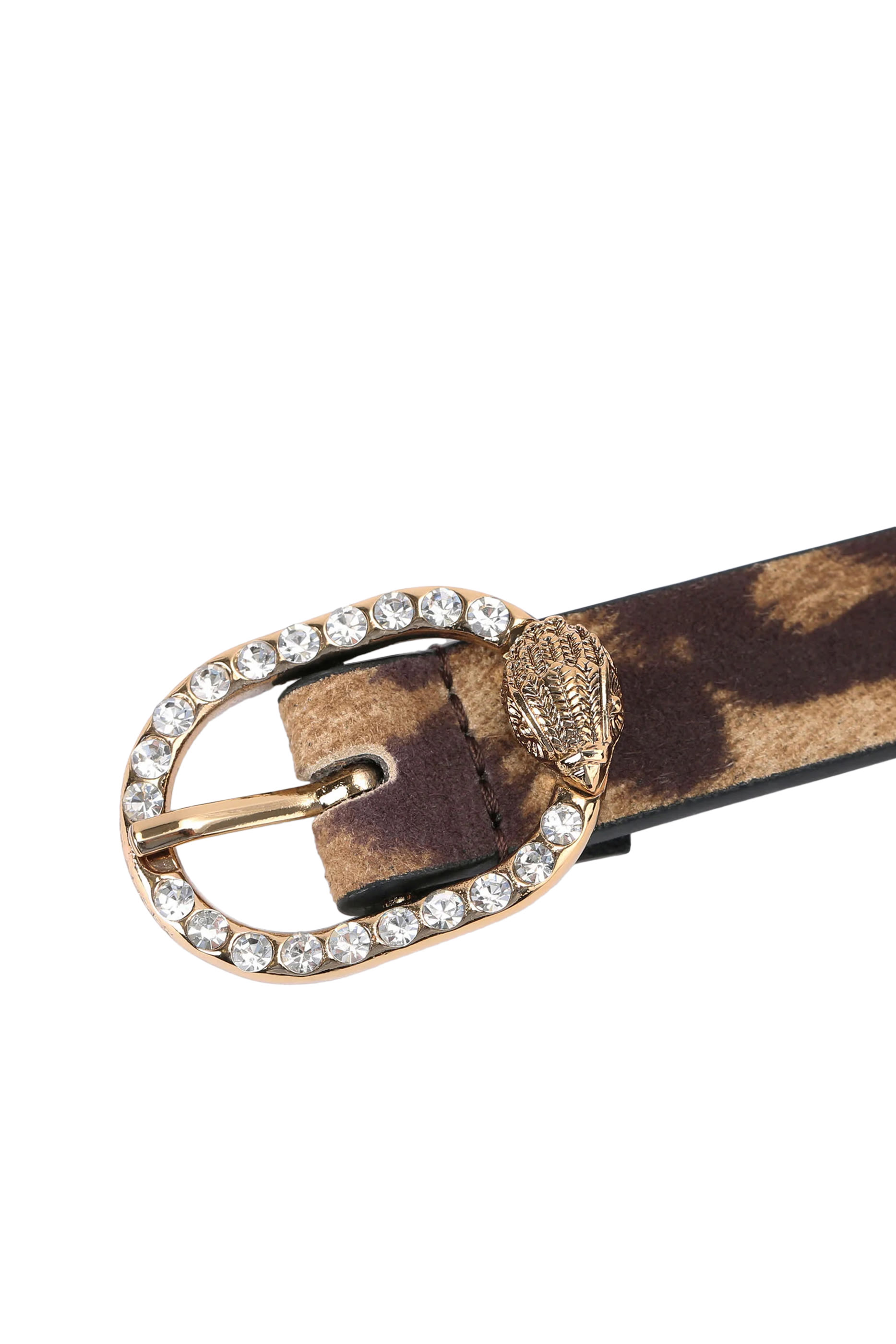 حزام مايفير 18 جلد