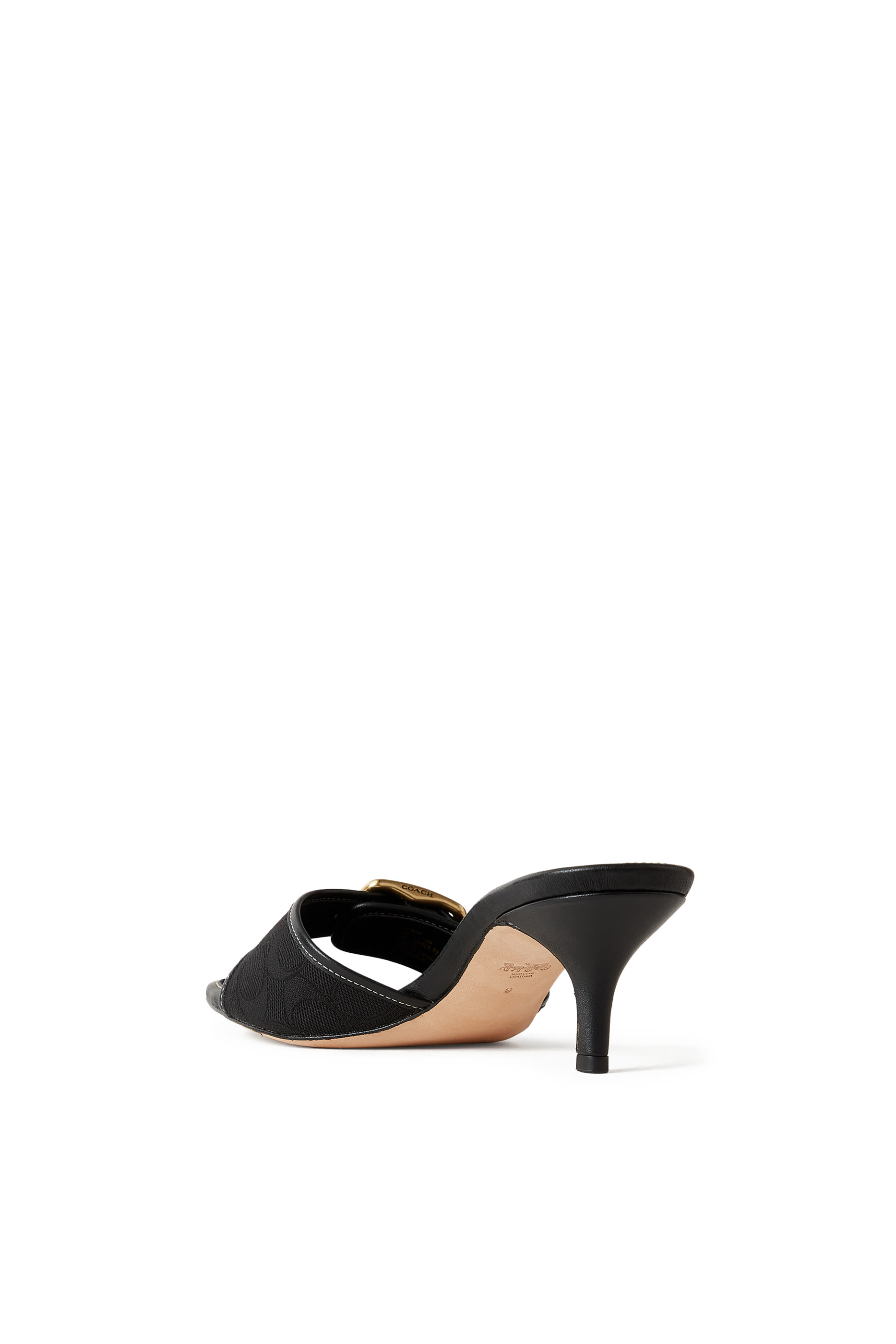 صندل سيغنتشر مارغوت جاكار 57