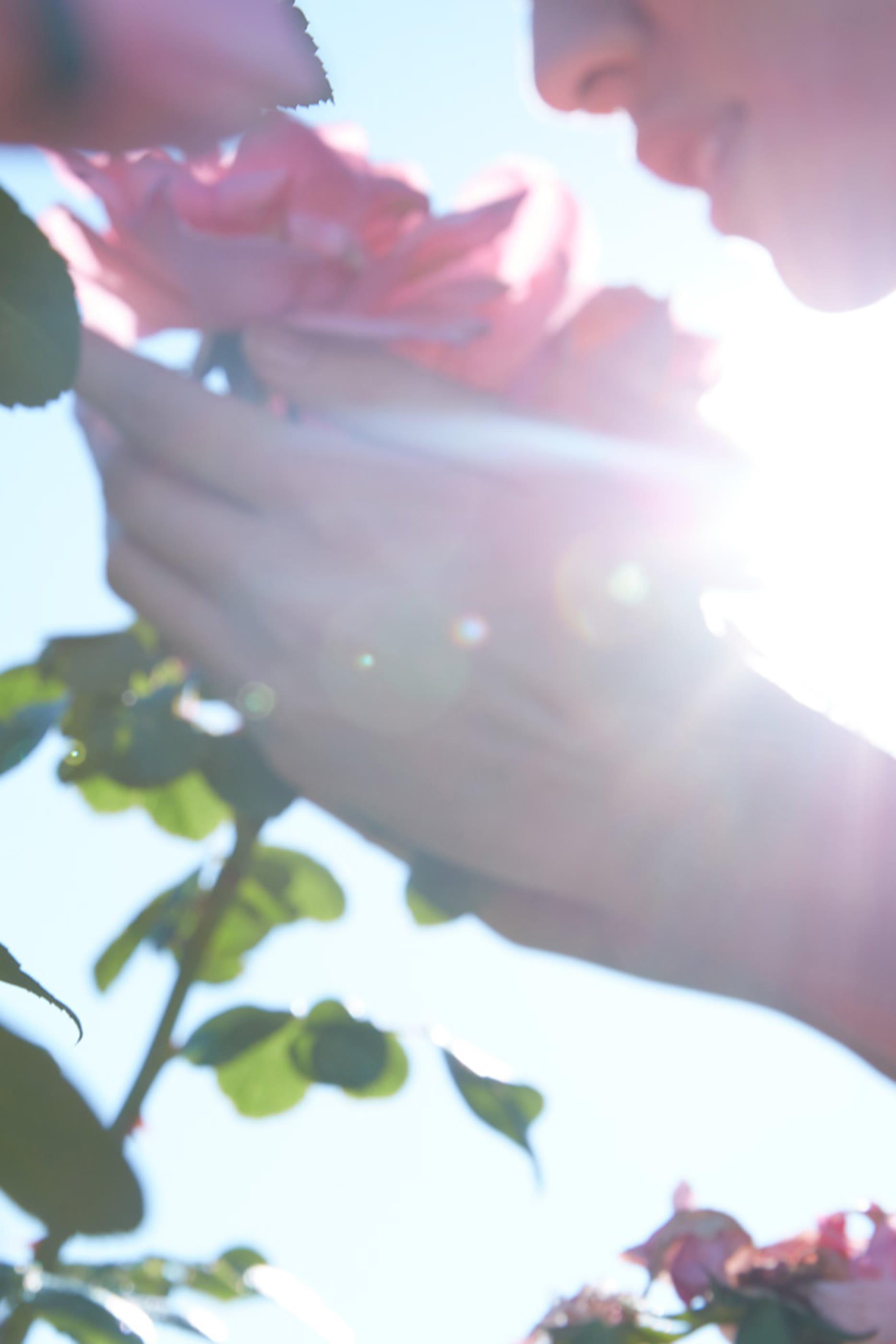 شمعة ريبليكا سبرنج تايم إن اي بارك